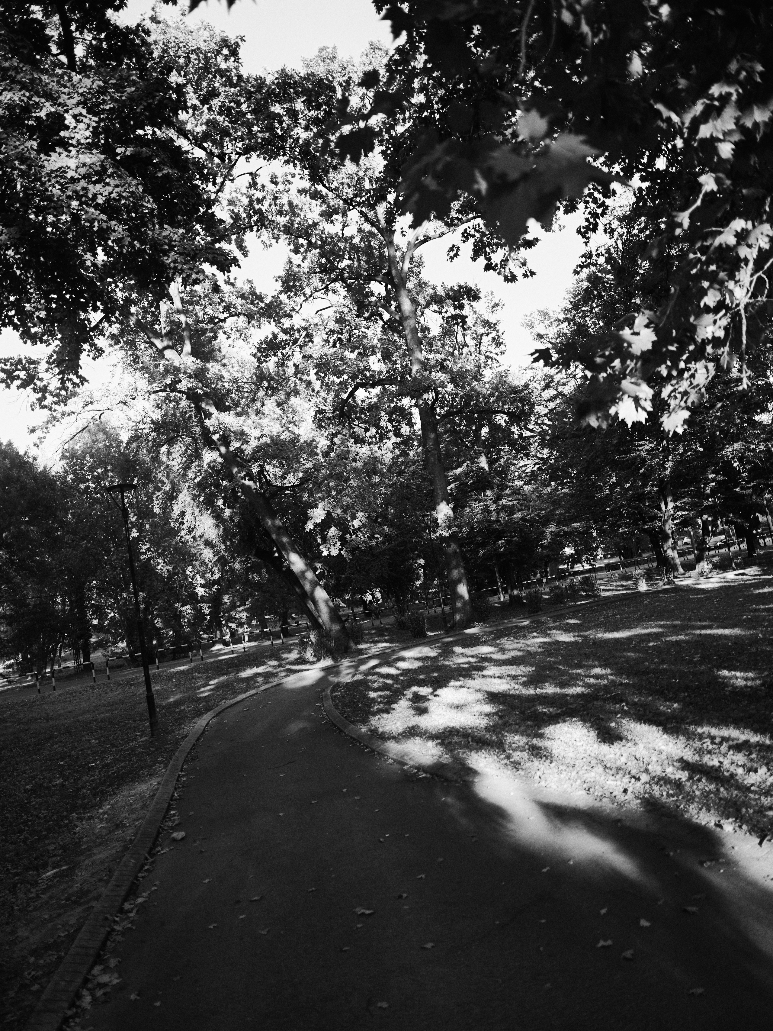 Другое 6. Jorgis — фотограф Сербия Белград