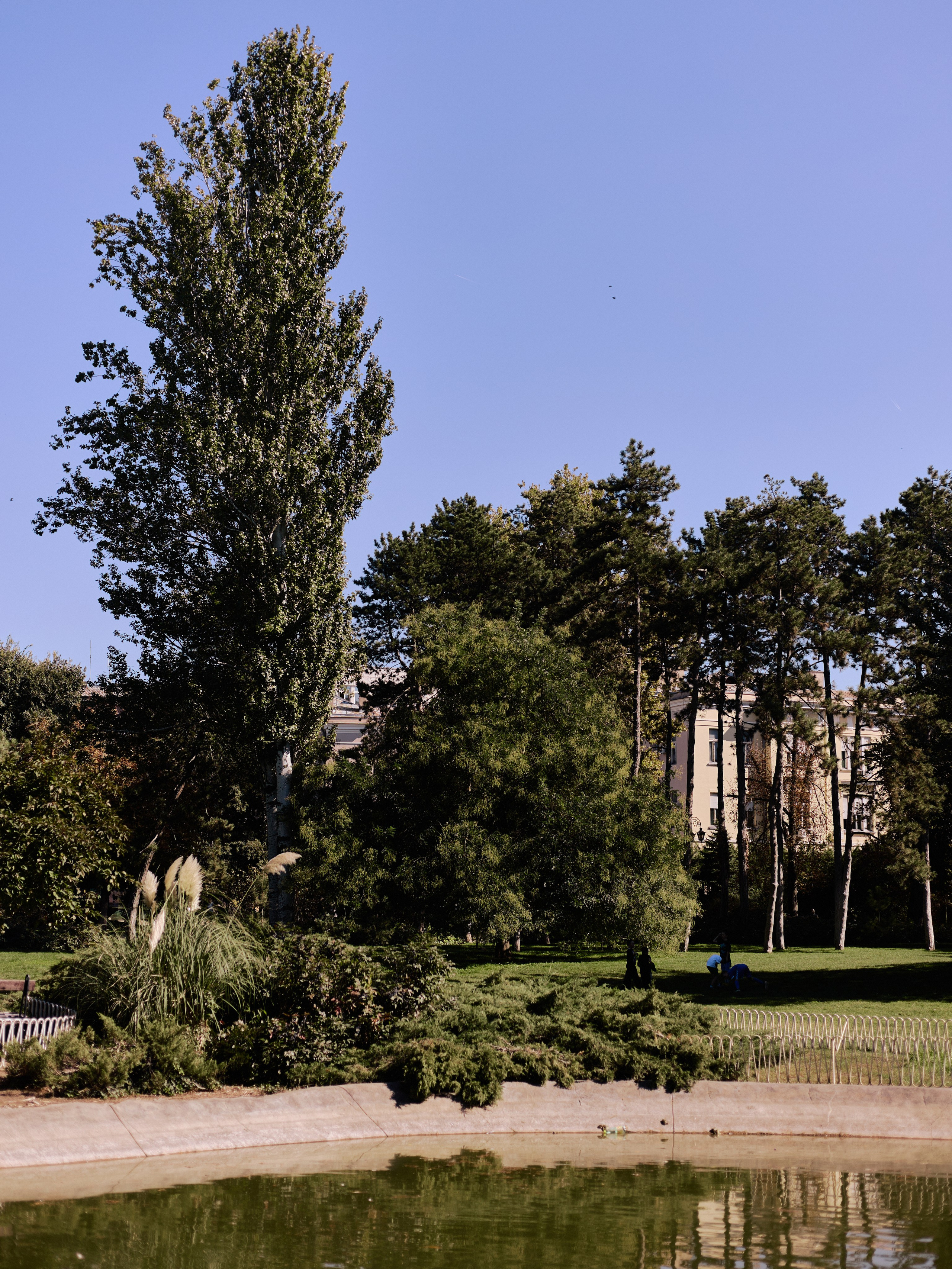 Другое 6. Jorgis — фотограф Сербия Белград