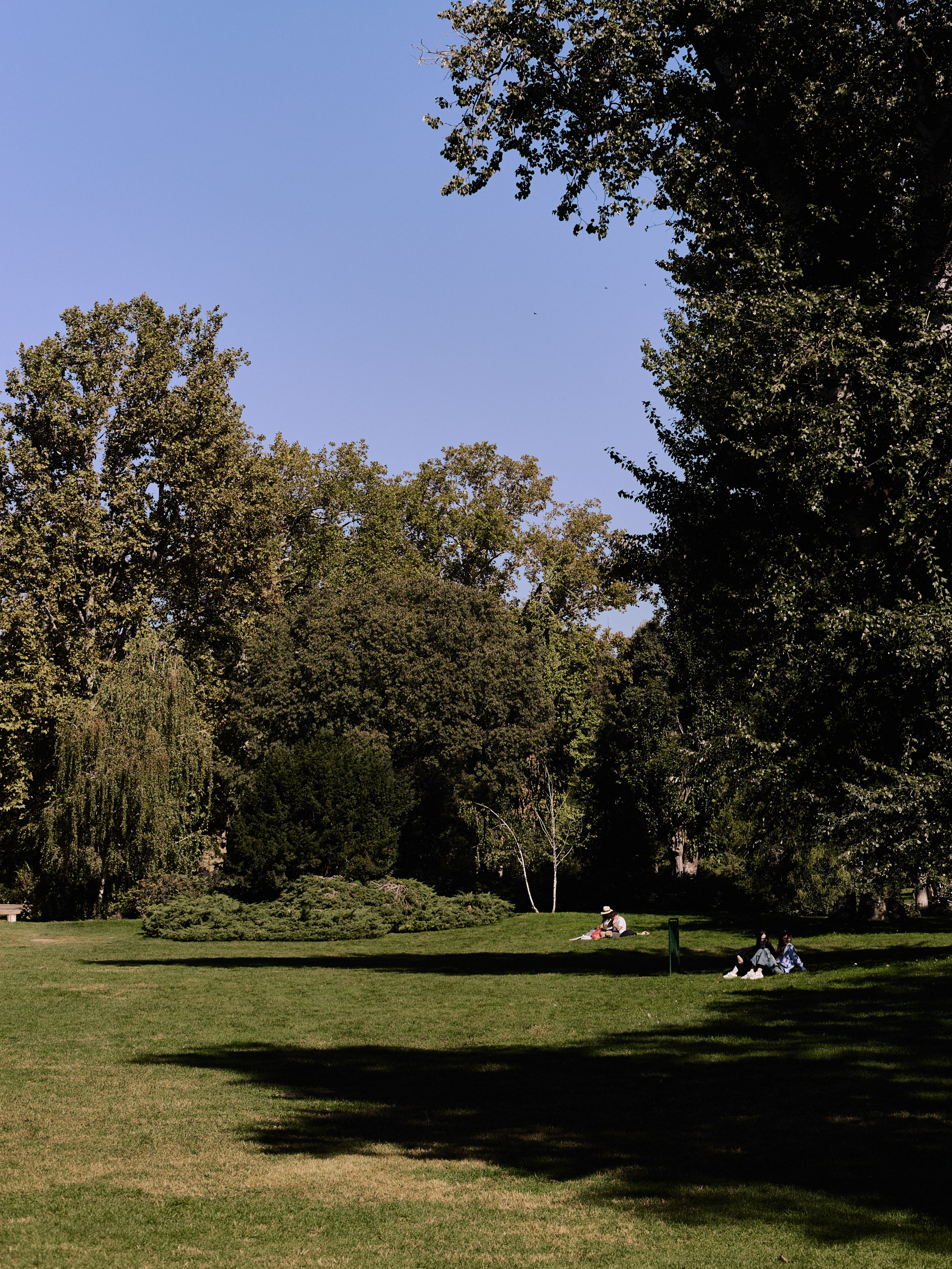 Другое 6. Jorgis — фотограф Сербия Белград