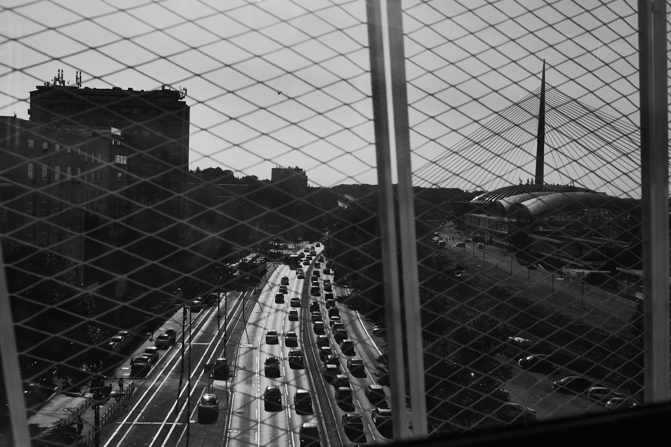 Другое 6. Jorgis — фотограф Сербия Белград