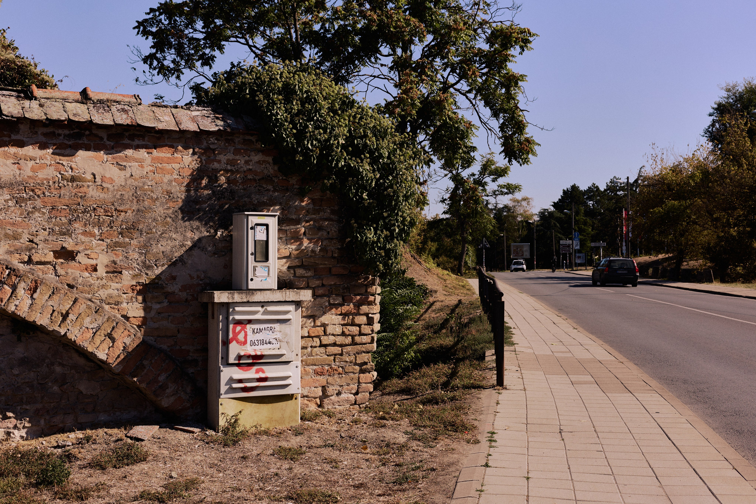 Другое 6. Jorgis — фотограф Сербия Белград