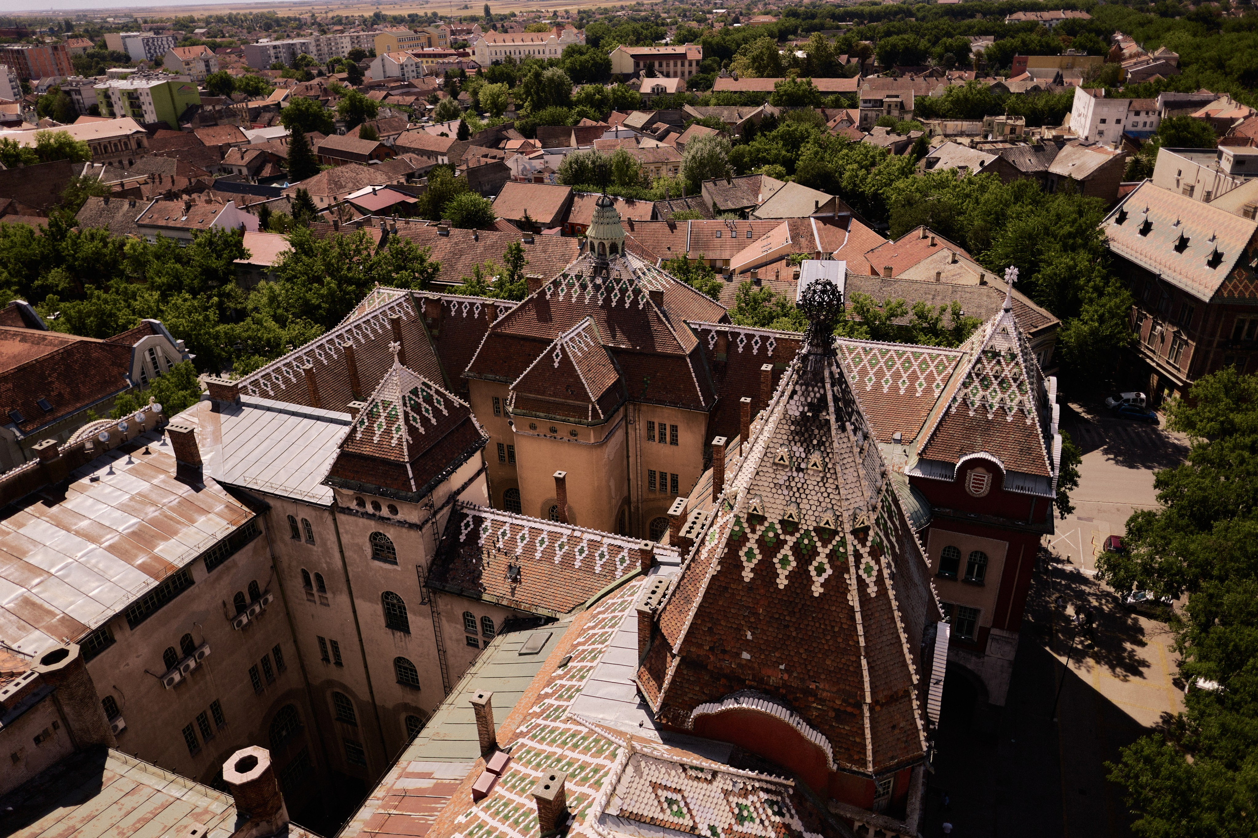 Другое 6. Jorgis — фотограф Сербия Белград