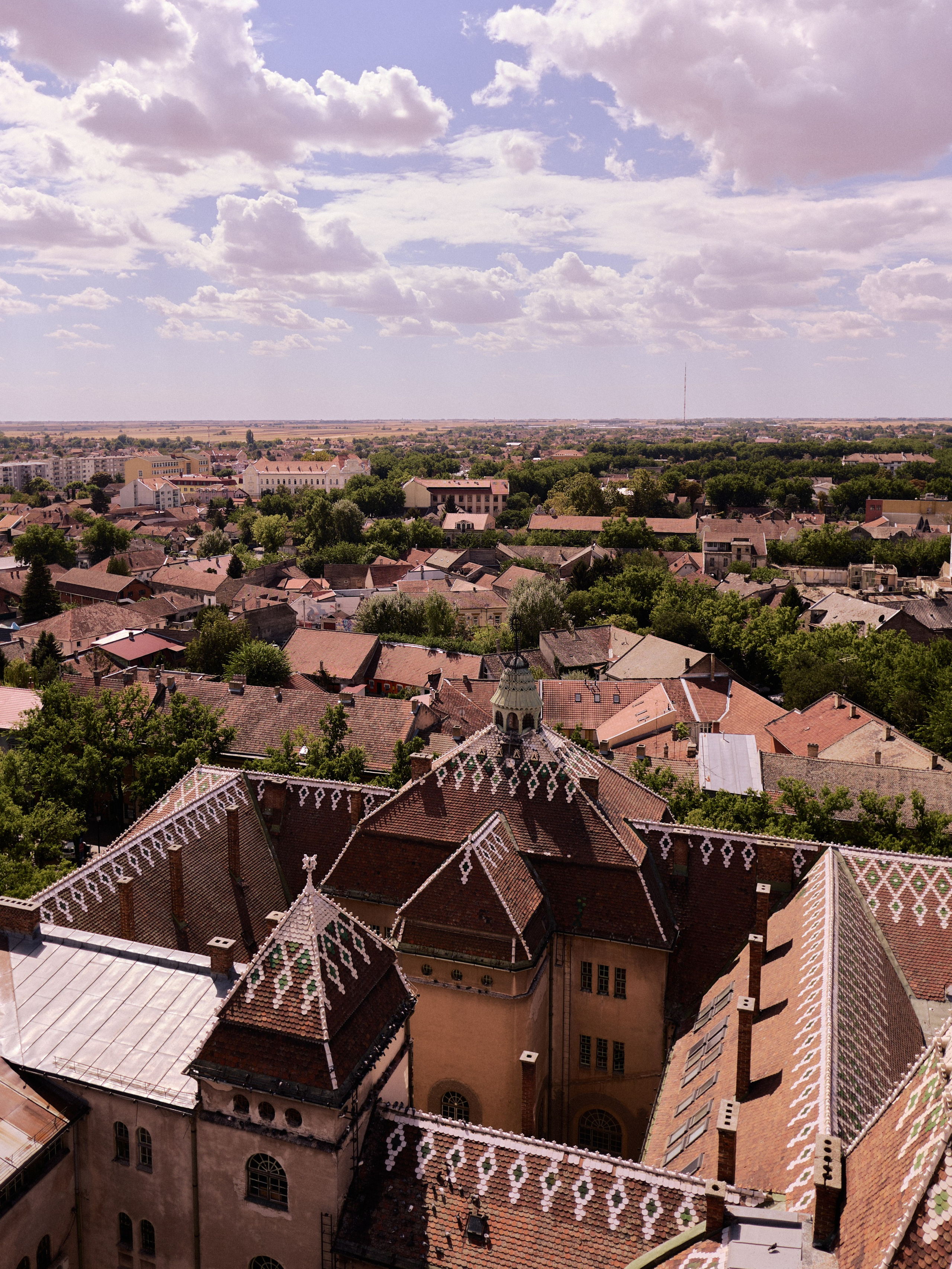 Другое 6. Jorgis — фотограф Сербия Белград