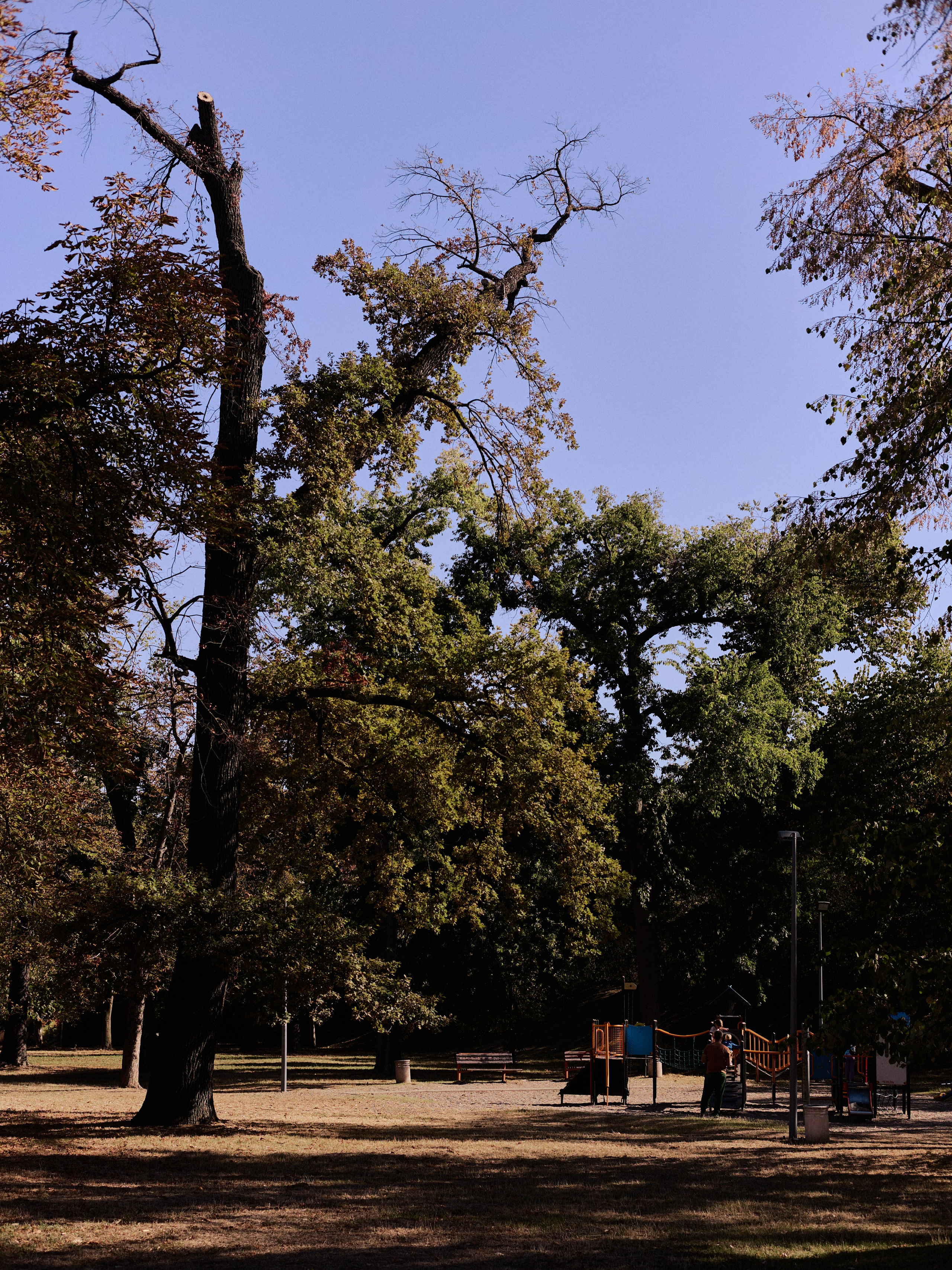 Другое 6. Jorgis — фотограф Сербия Белград