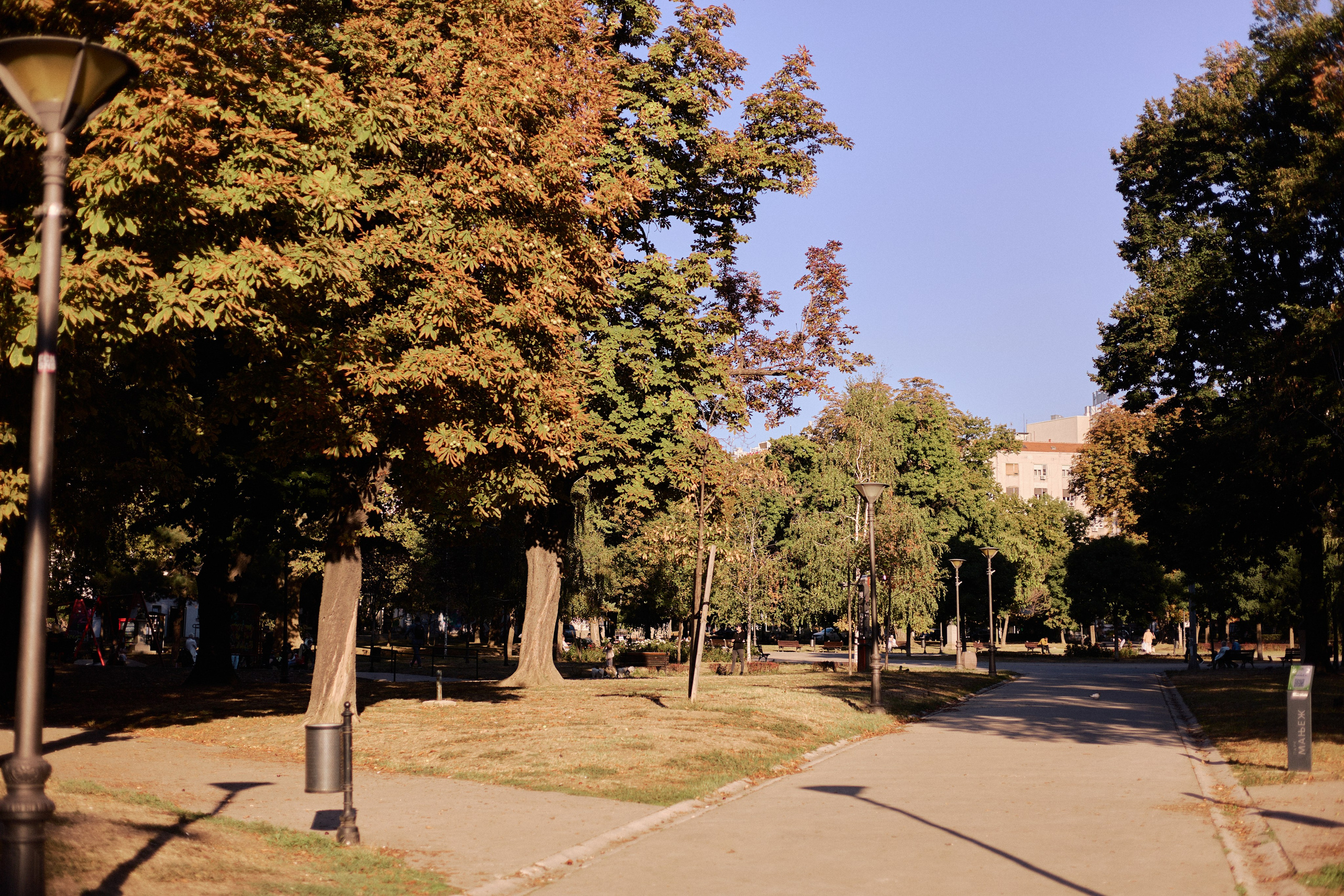 Другое 6. Jorgis — фотограф Сербия Белград