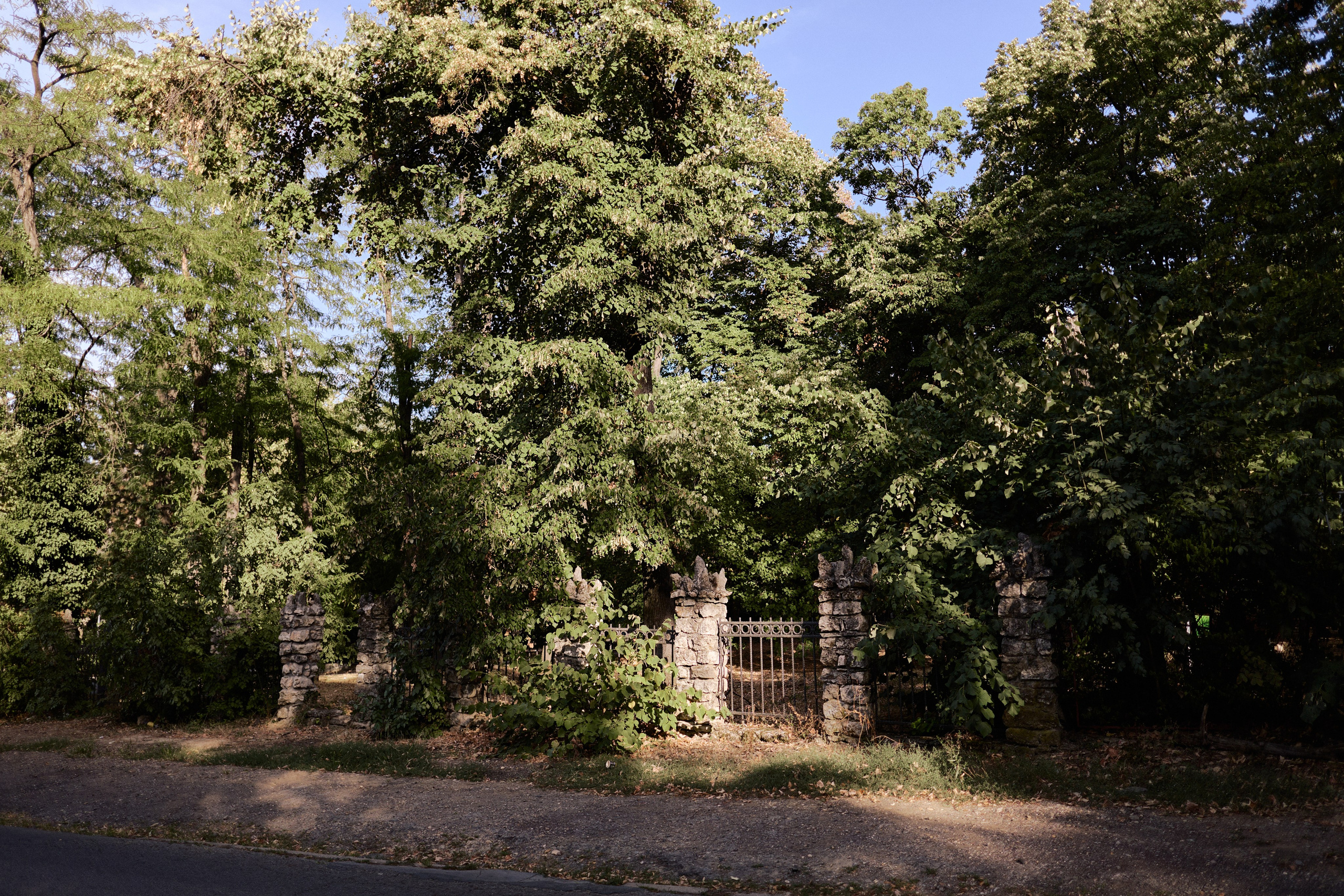 Другое 6. Jorgis — фотограф Сербия Белград