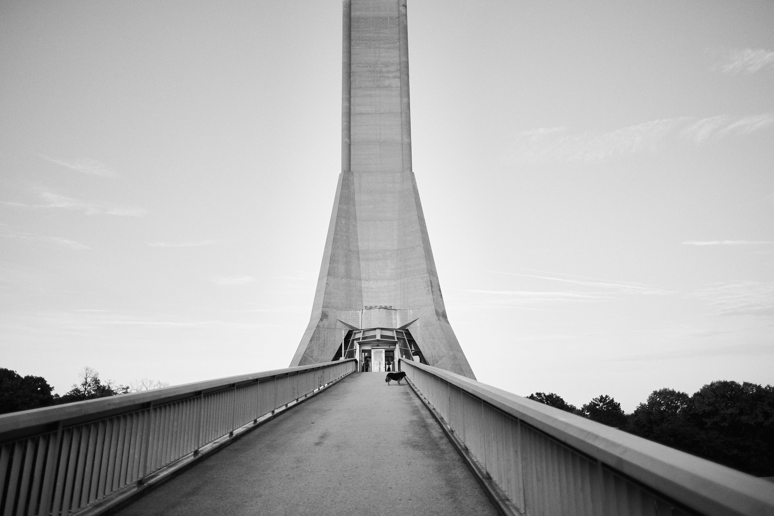 Другое 6. Jorgis — фотограф Сербия Белград