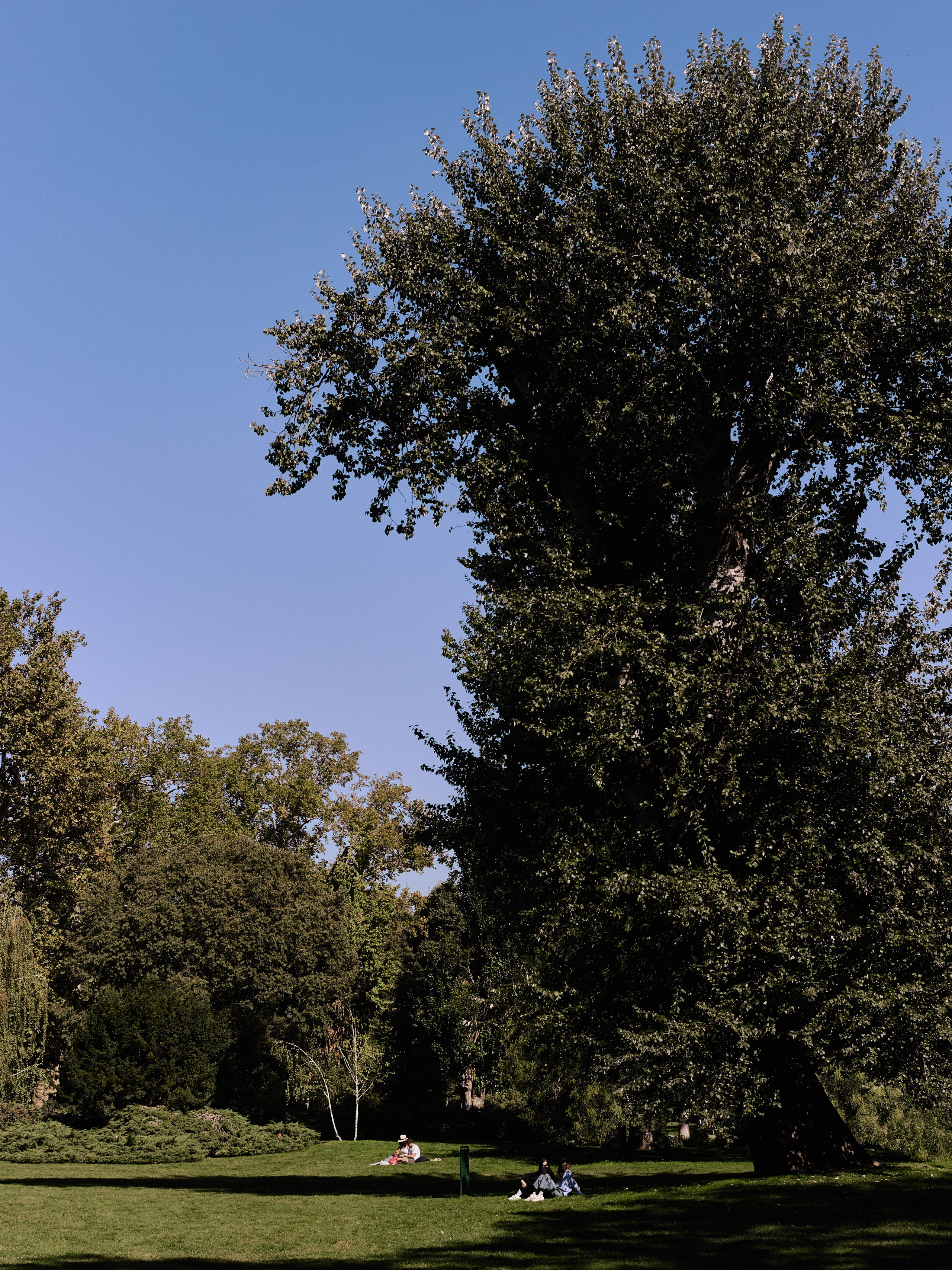 Другое 6. Jorgis — фотограф Сербия Белград