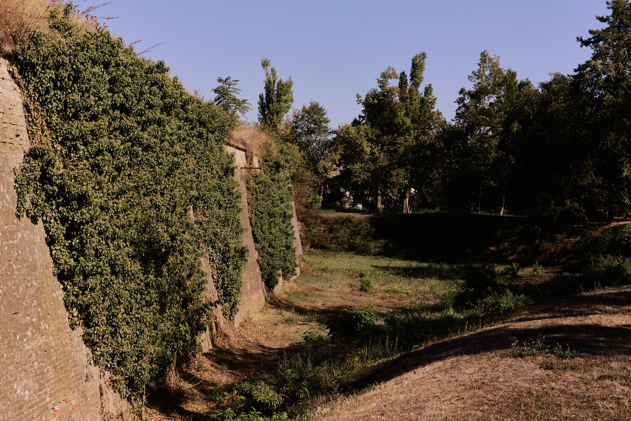 Другое 6. Jorgis — фотограф Сербия Белград