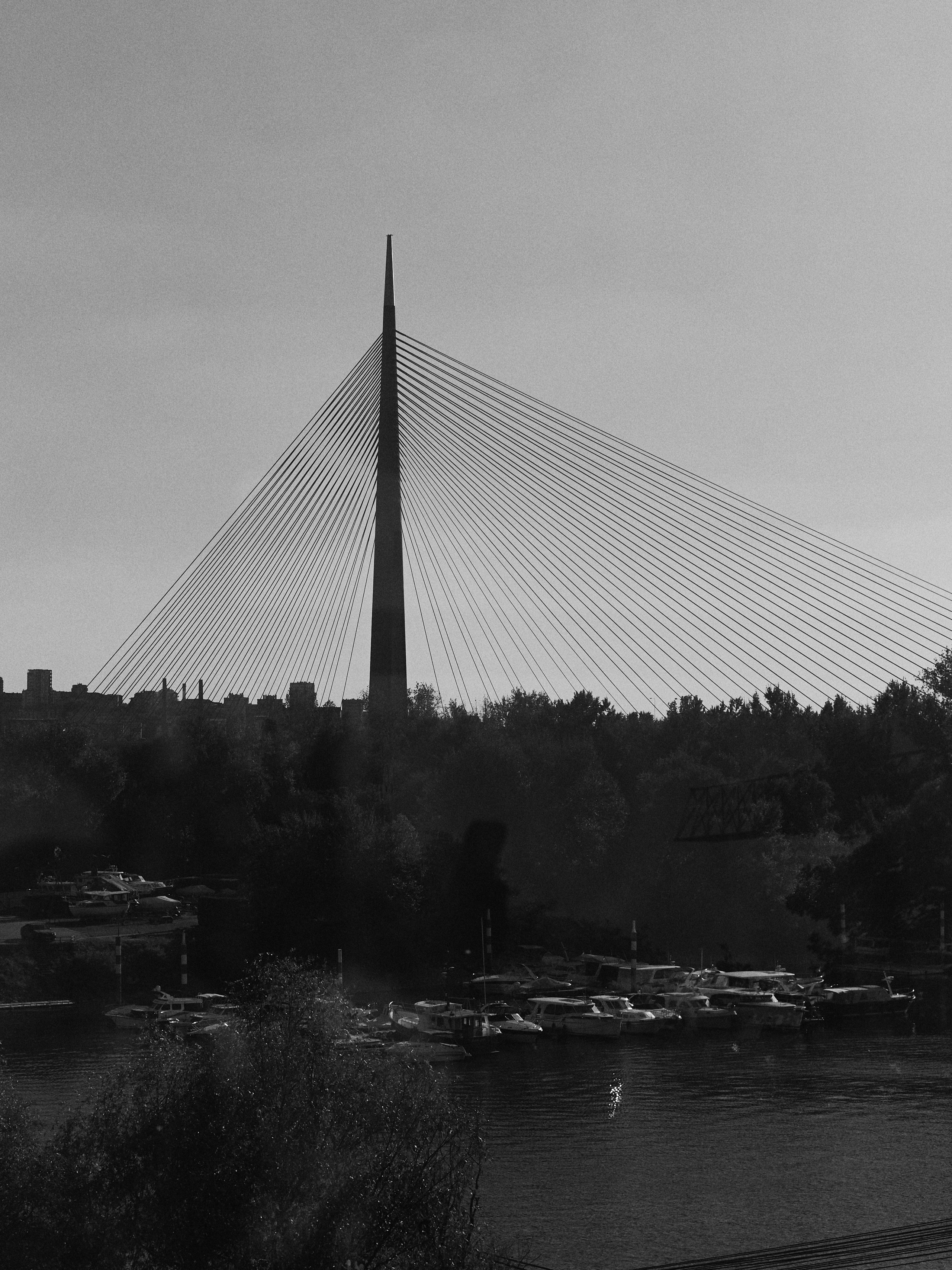 Другое 6. Jorgis — фотограф Сербия Белград