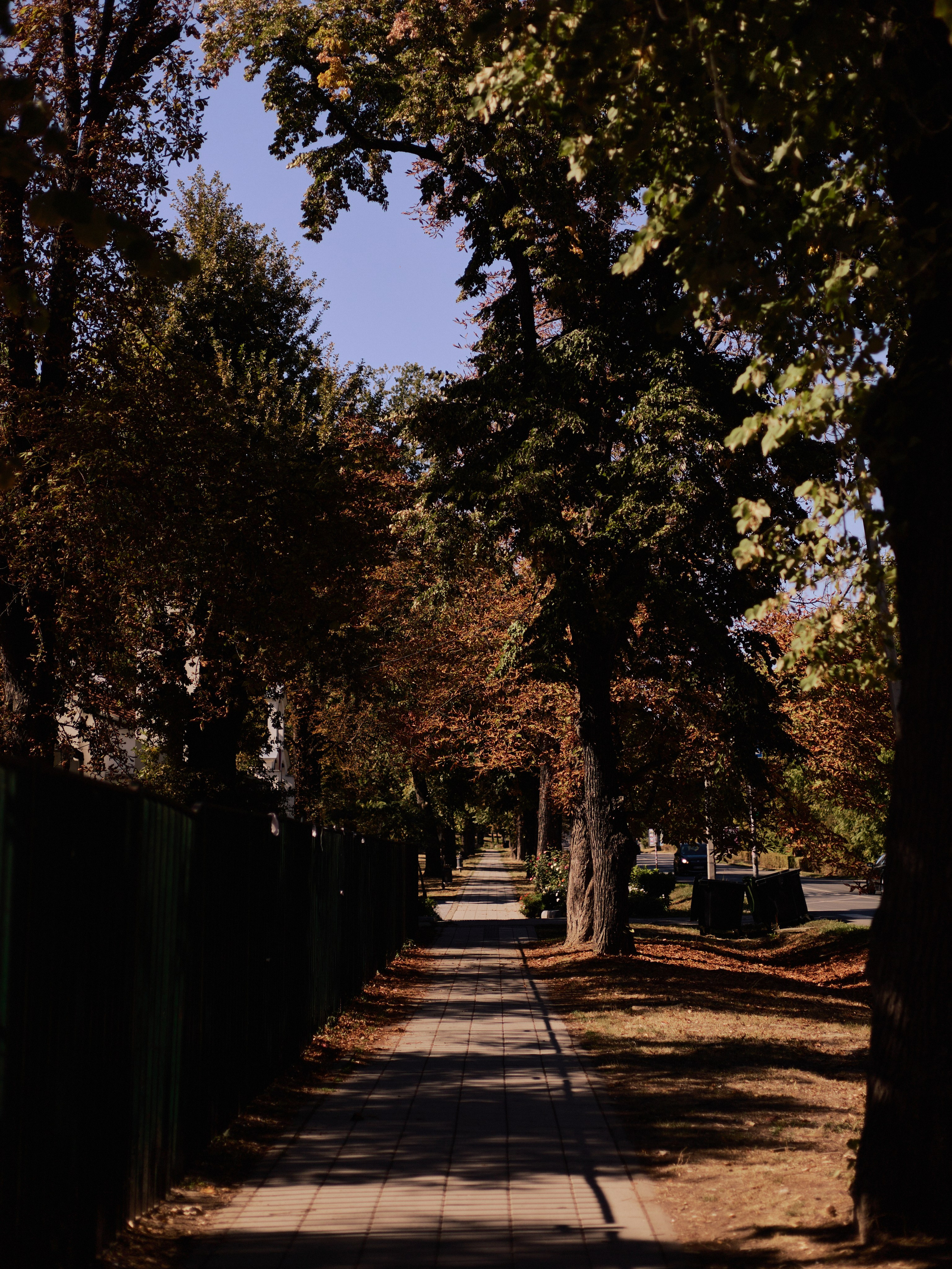 Другое 6. Jorgis — фотограф Сербия Белград