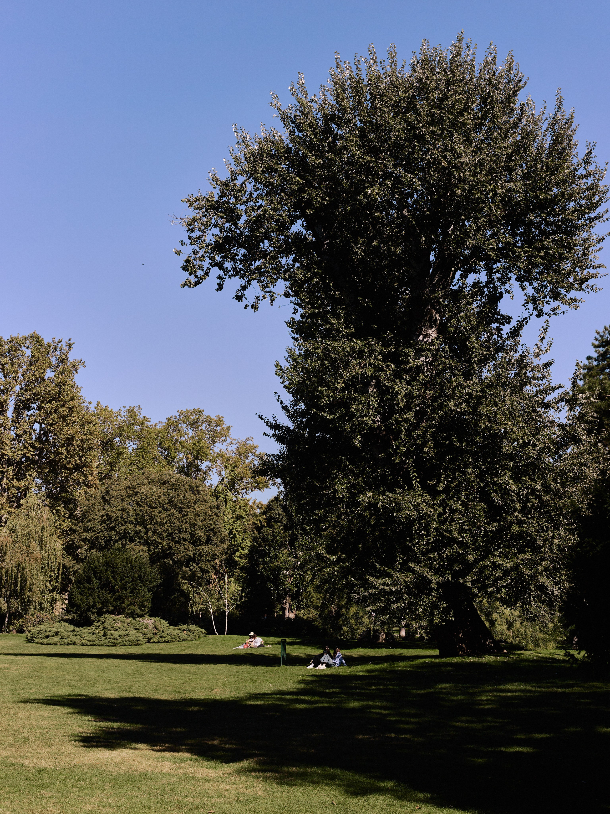Другое 6. Jorgis — фотограф Сербия Белград