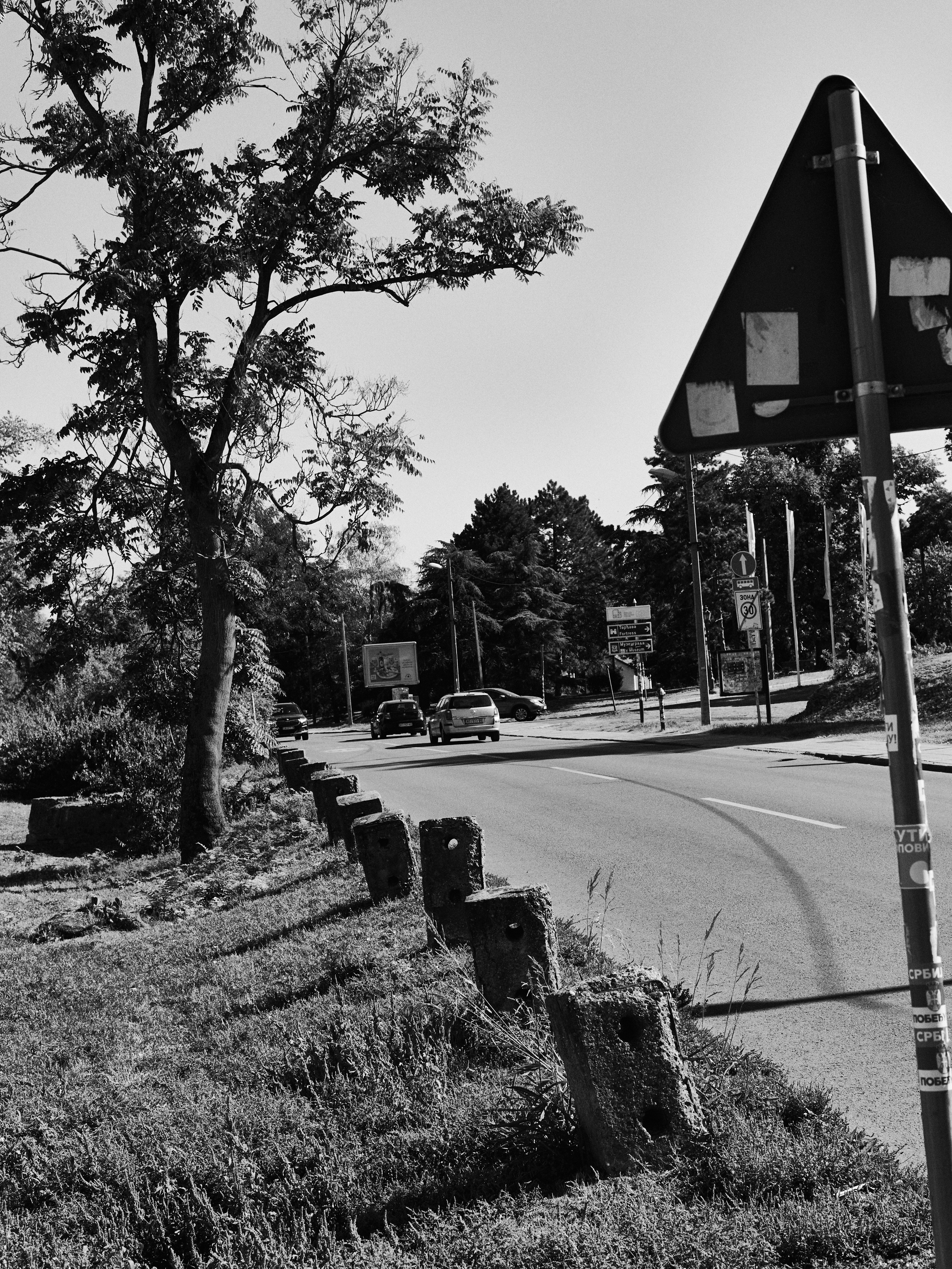 Другое 6. Jorgis — фотограф Сербия Белград