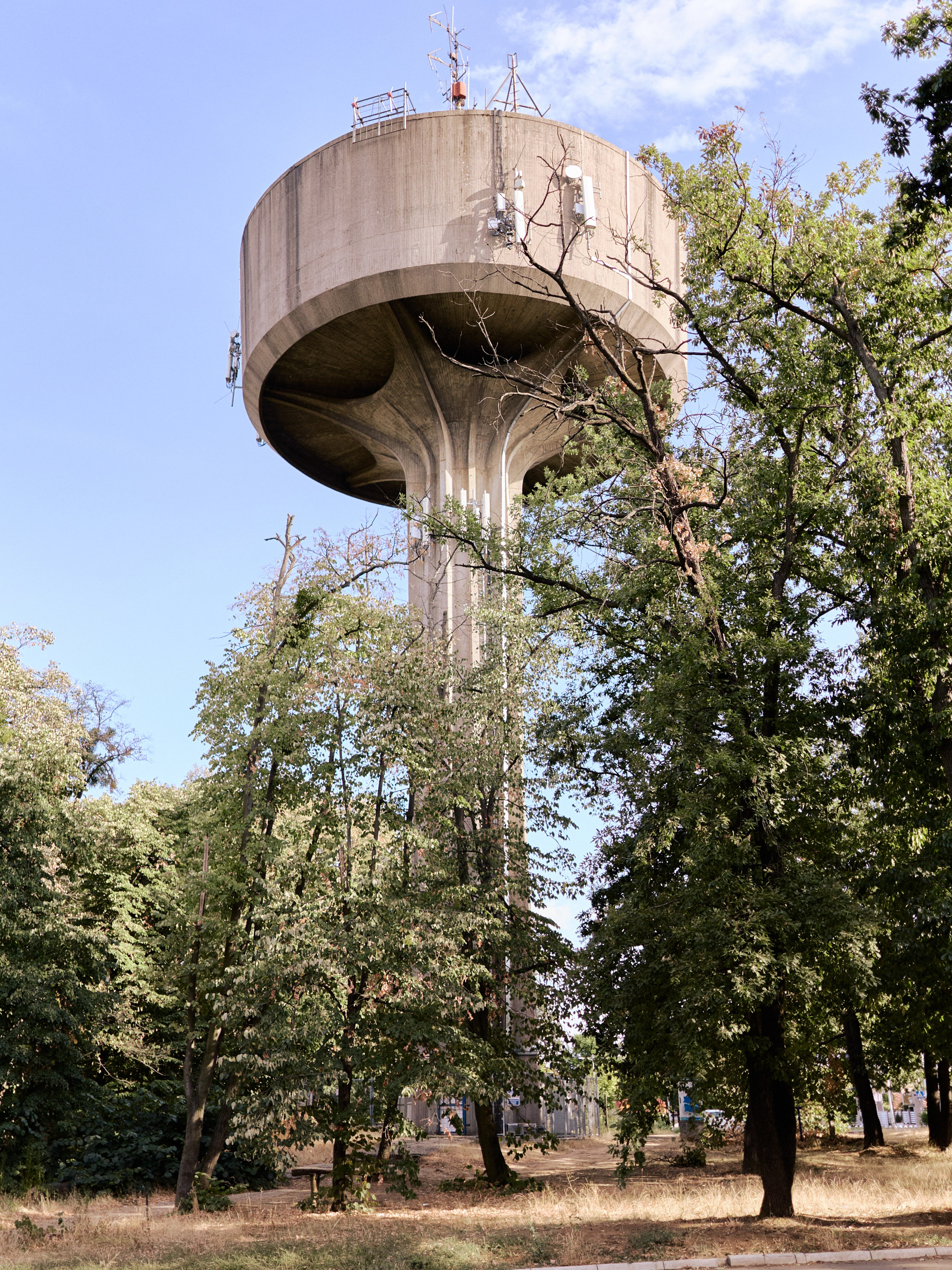 Другое 6. Jorgis — фотограф Сербия Белград
