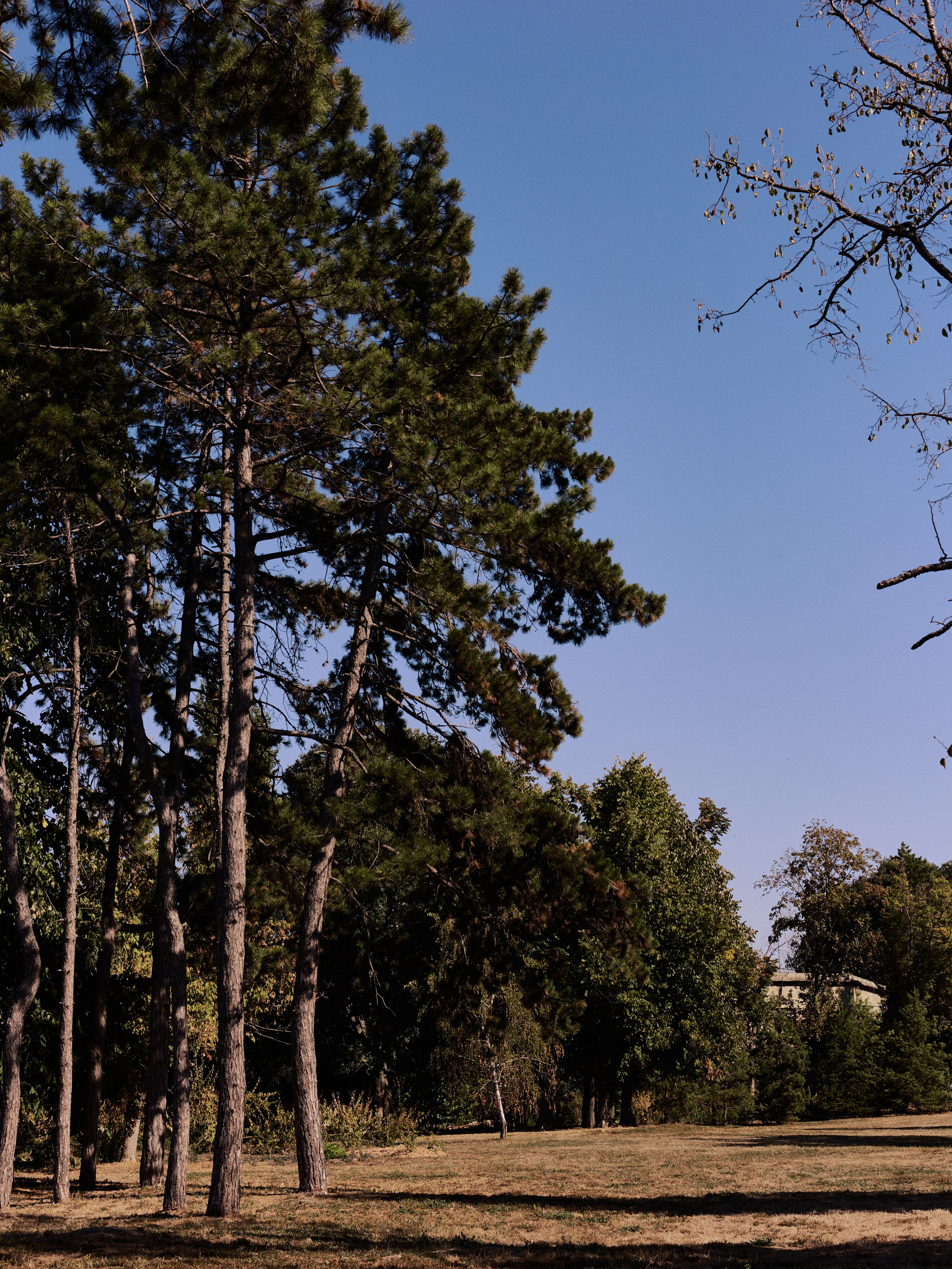 Другое 6. Jorgis — фотограф Сербия Белград