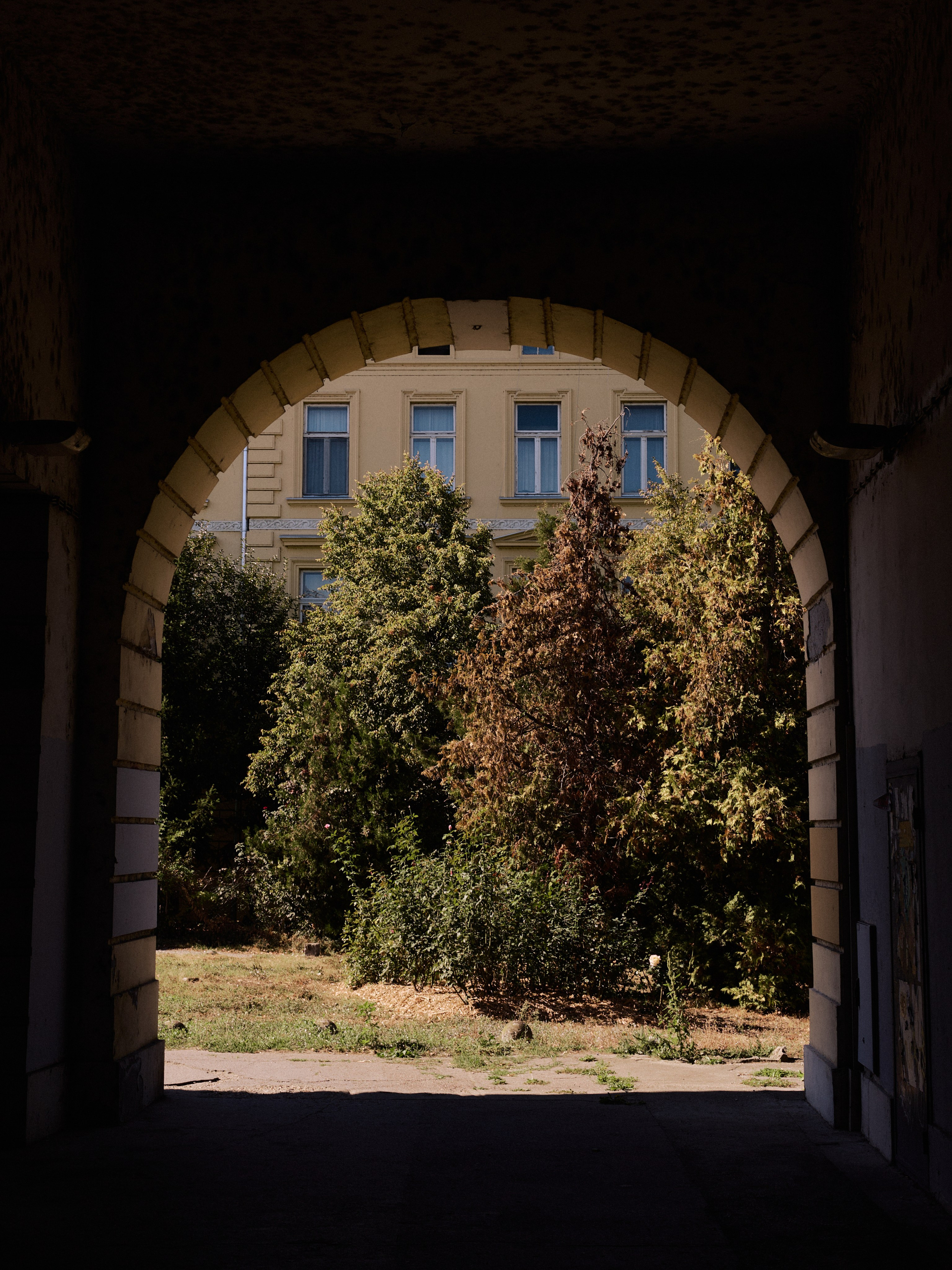 Другое 6. Jorgis — фотограф Сербия Белград