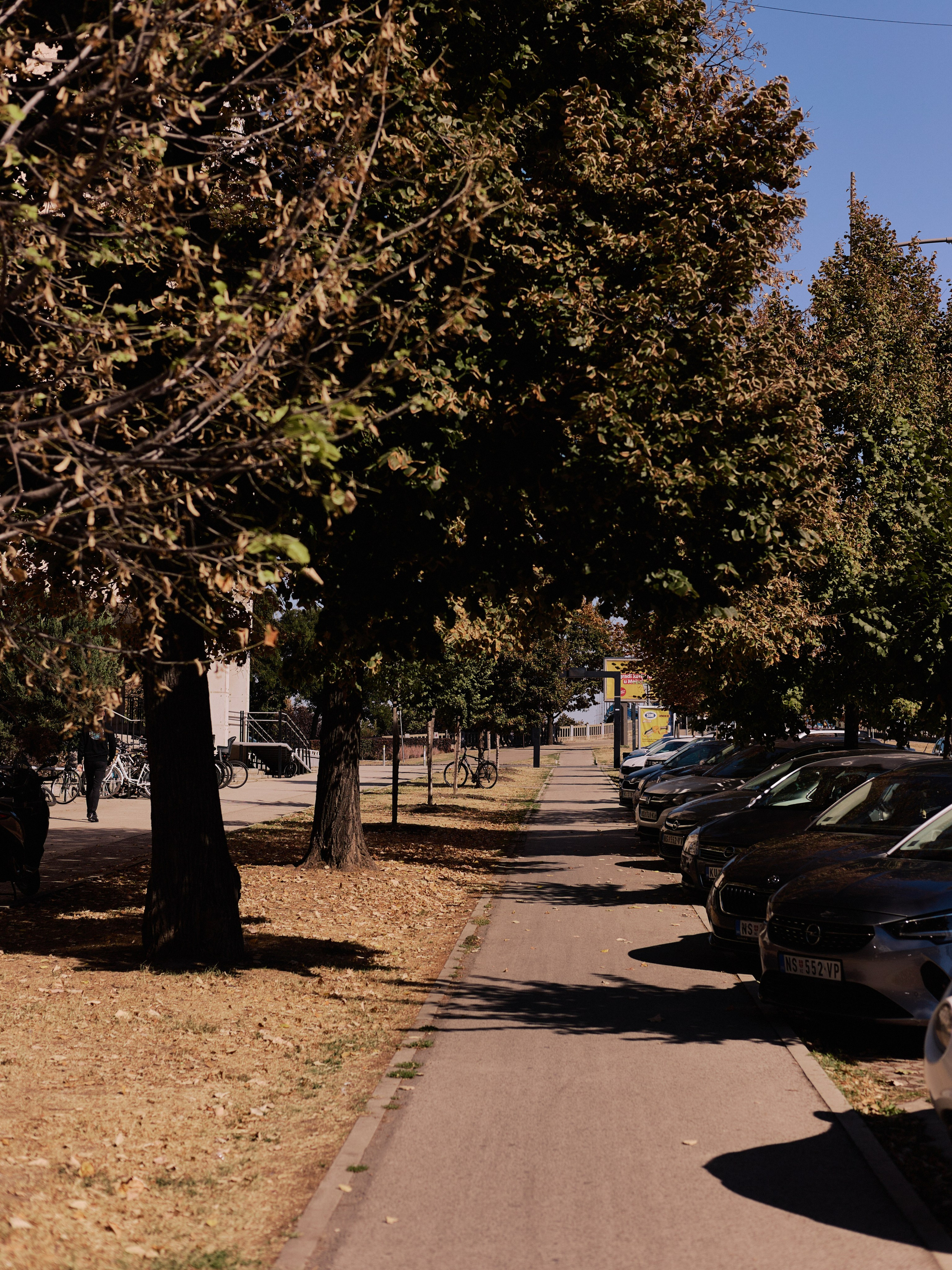 Другое 6. Jorgis — фотограф Сербия Белград