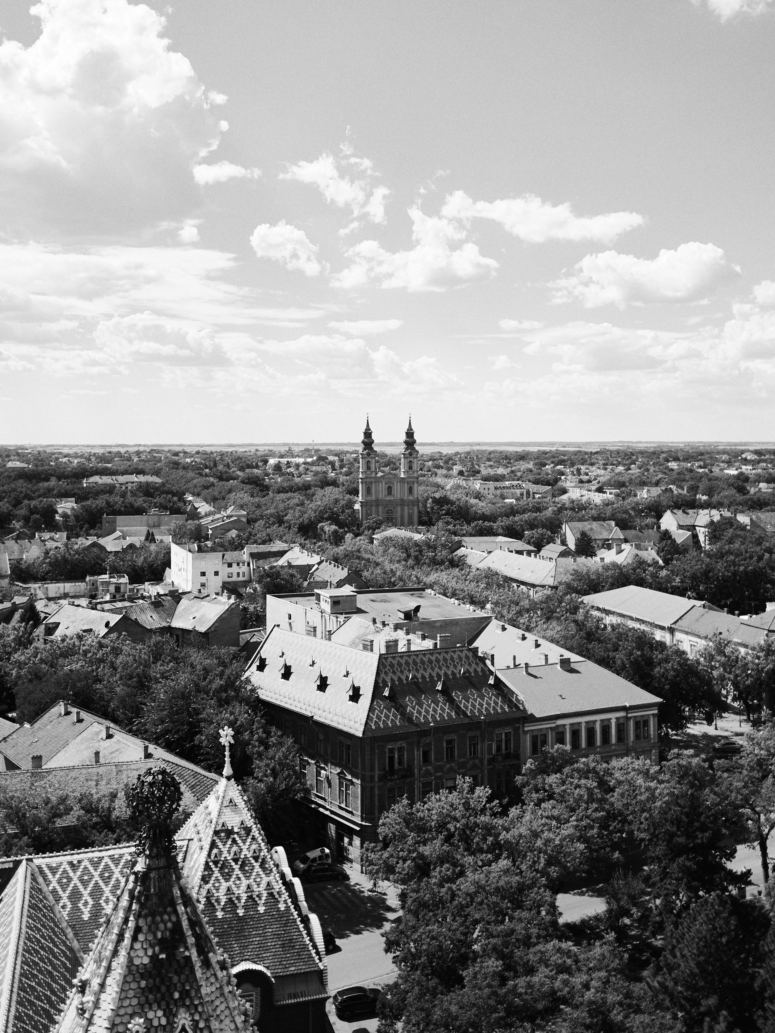 Другое 6. Jorgis — фотограф Сербия Белград