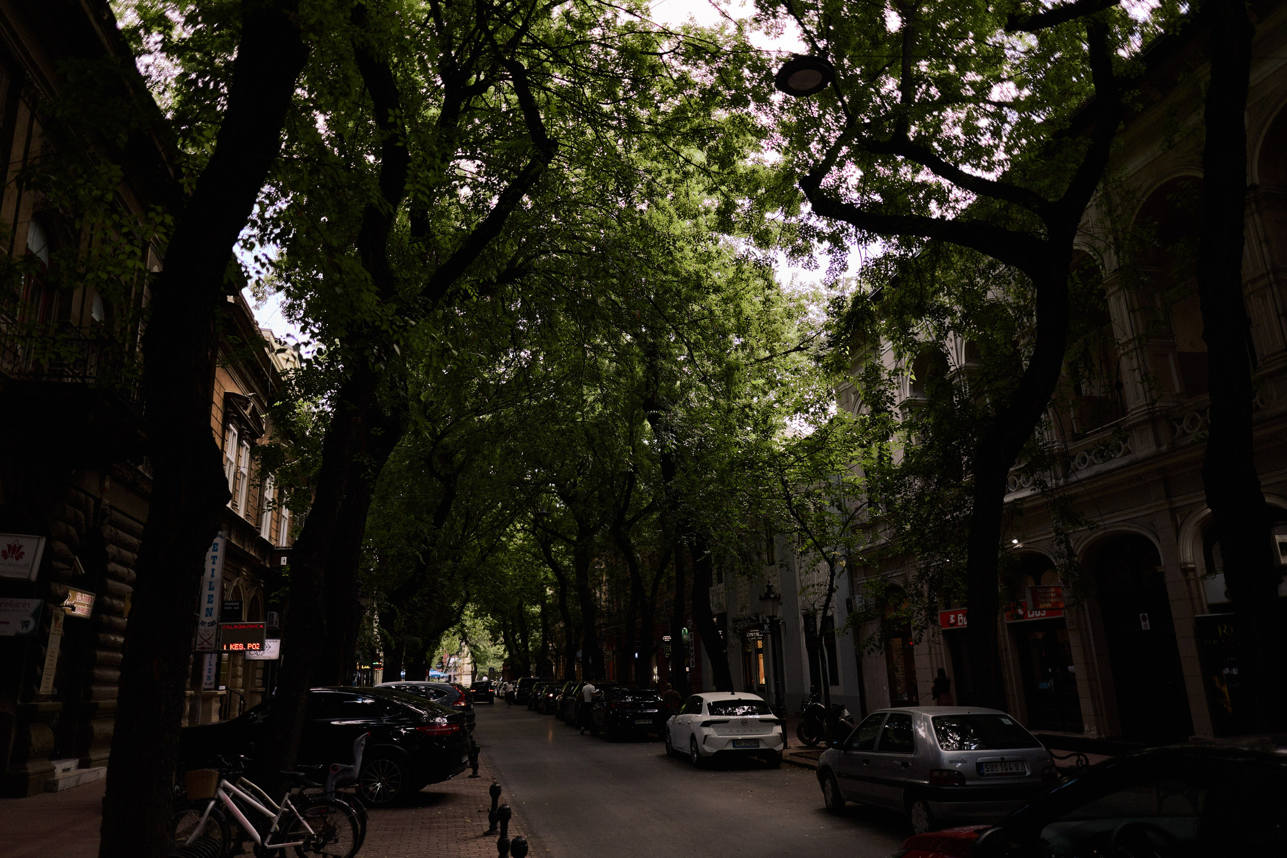 Другое 6. Jorgis — фотограф Сербия Белград