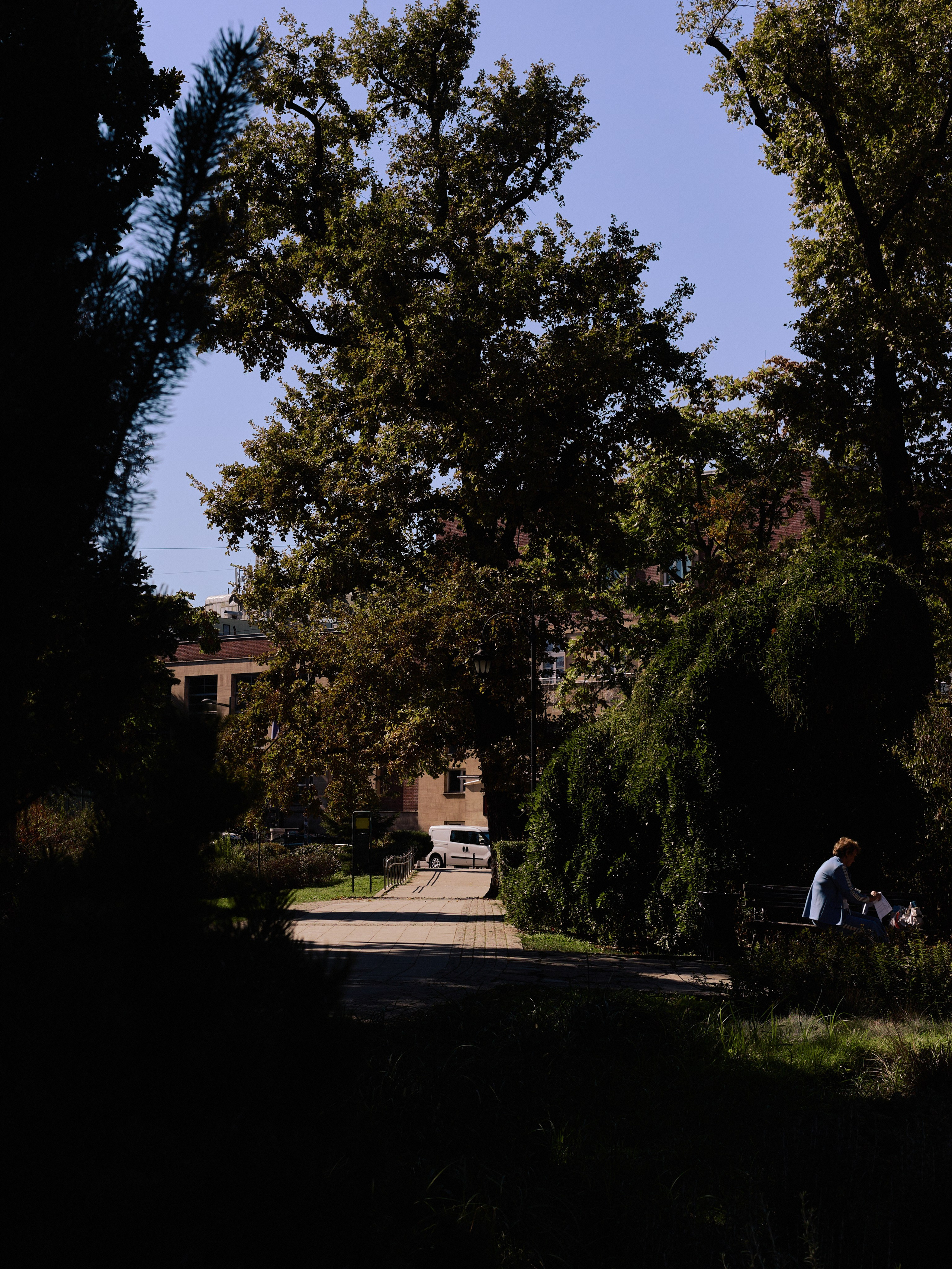 Другое 6. Jorgis — фотограф Сербия Белград