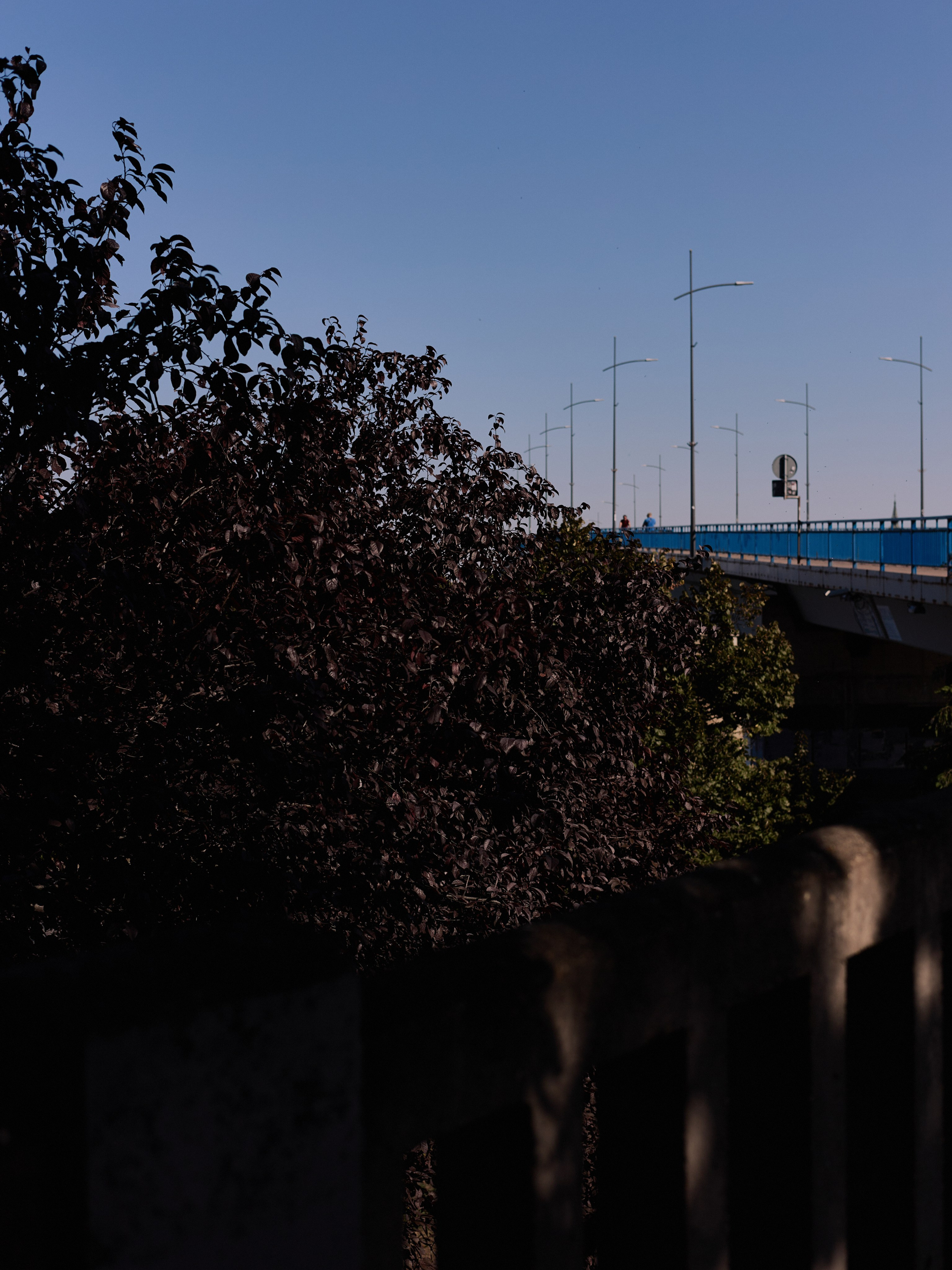 Другое 6. Jorgis — фотограф Сербия Белград