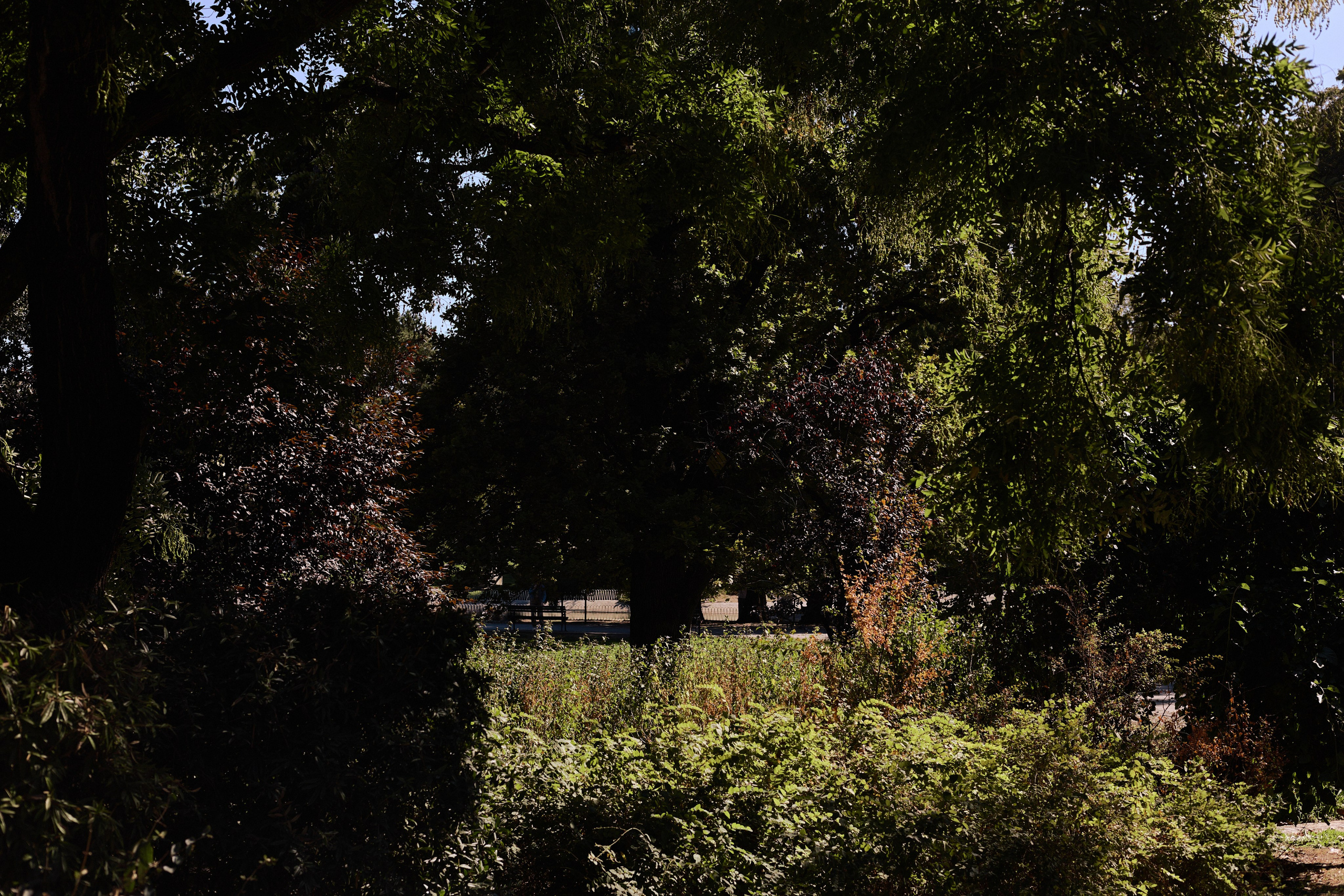 Другое 6. Jorgis — фотограф Сербия Белград