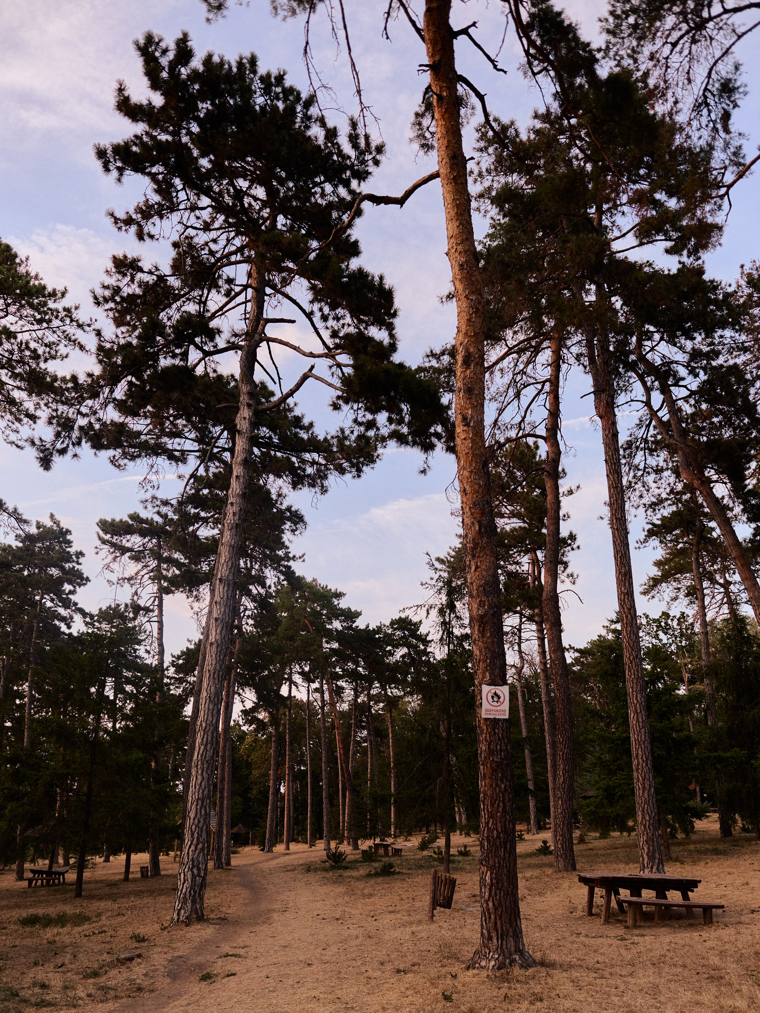 Другое 6. Jorgis — фотограф Сербия Белград