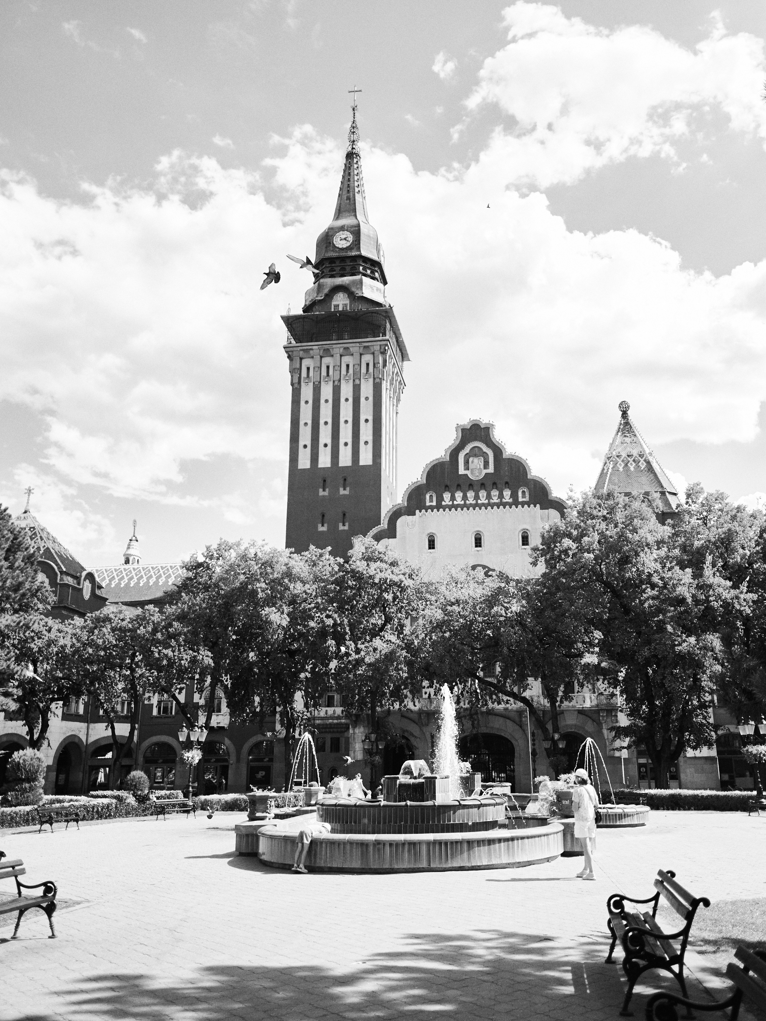Другое 6. Jorgis — фотограф Сербия Белград
