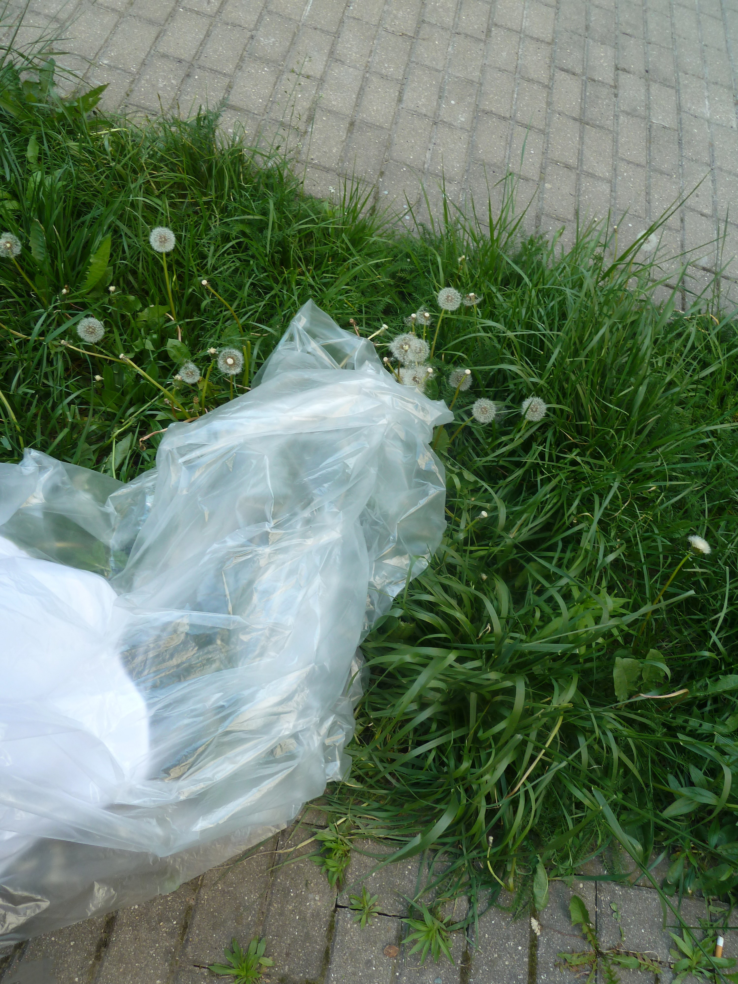 Urban extensions. Art direction & Design | Curiosa