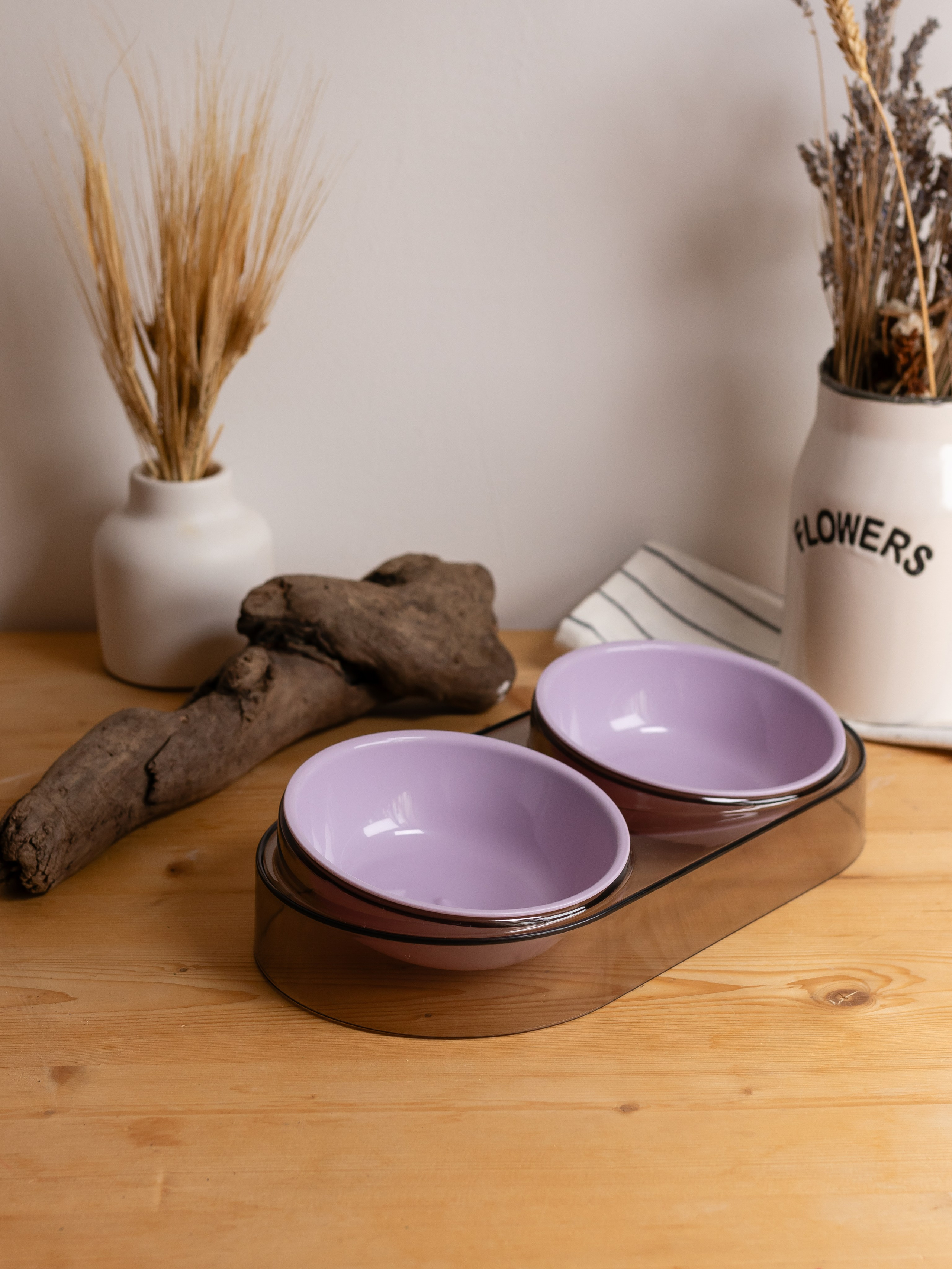 Миска для собаки. Фотограф в Краснодаре Арина Кудряшова