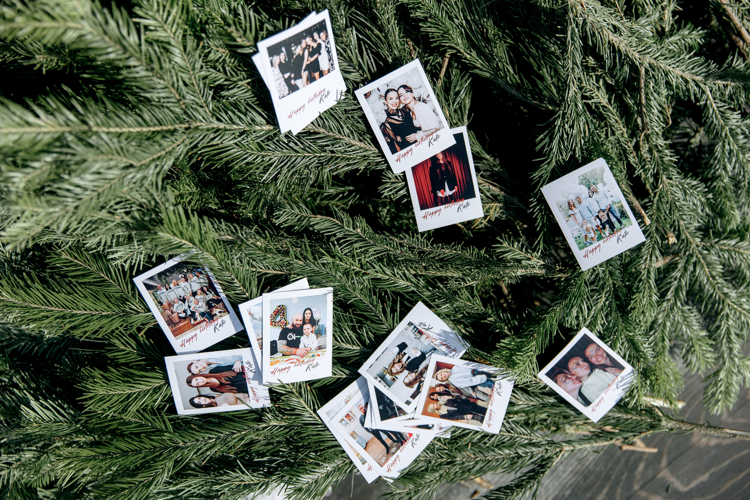 ДЕНЬ ДОЖДЕНИЯ ЕКАТЕРИНЫ. Фотограф в Красноярске