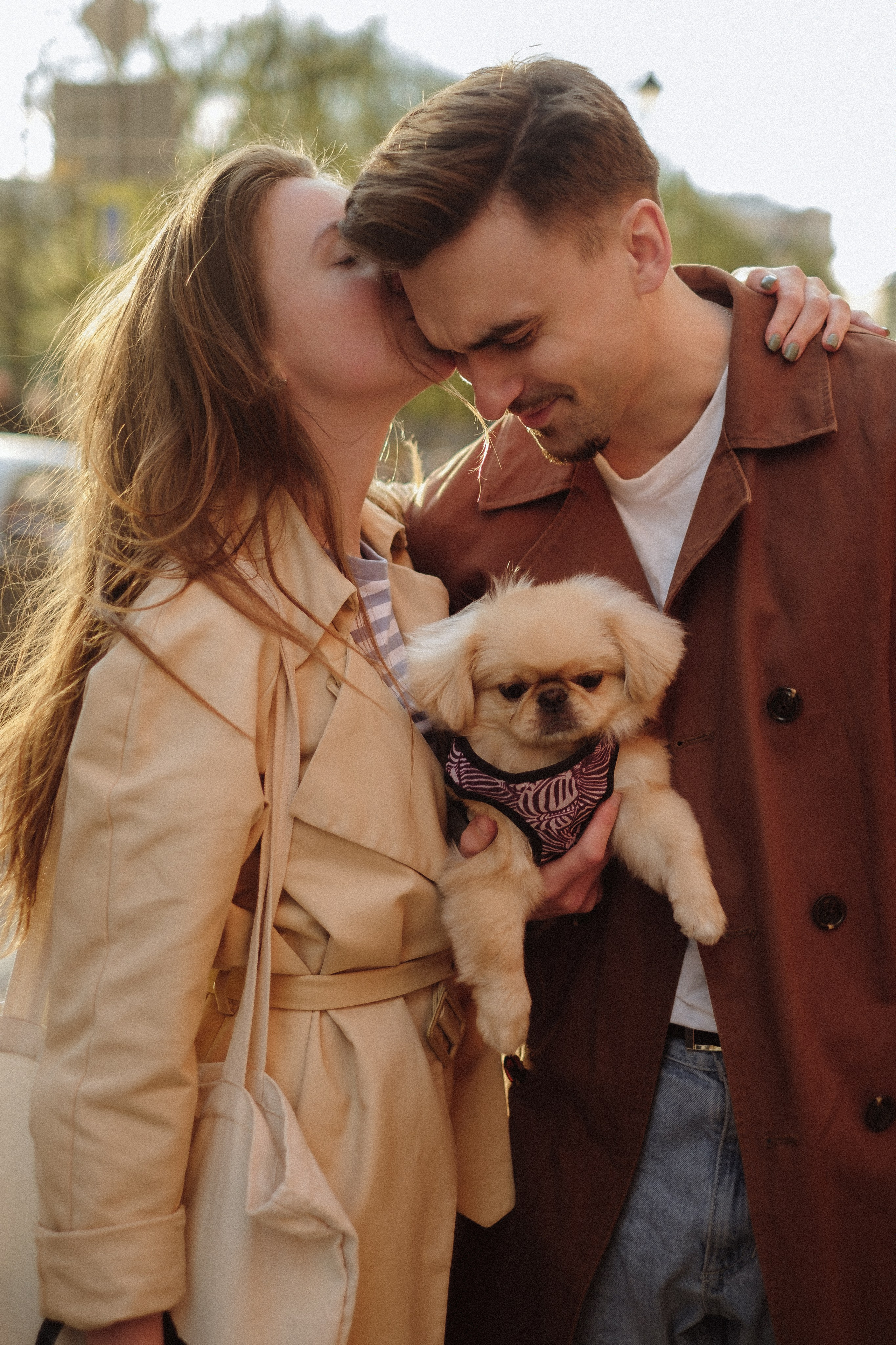 Пекинес. Свадебный и портретный фотограф в Москве, Туле и Брянске Дара Евсеева