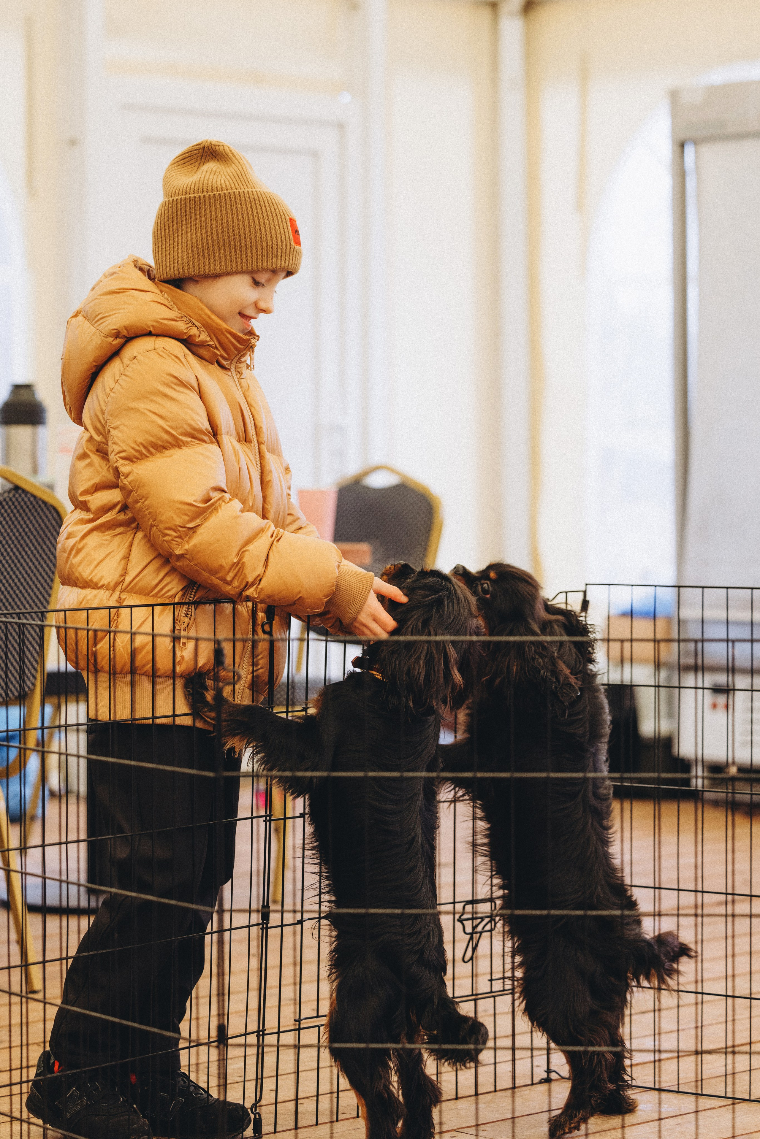 Встреча ККЧС. Фотограф анималист Осипчикова Мария
