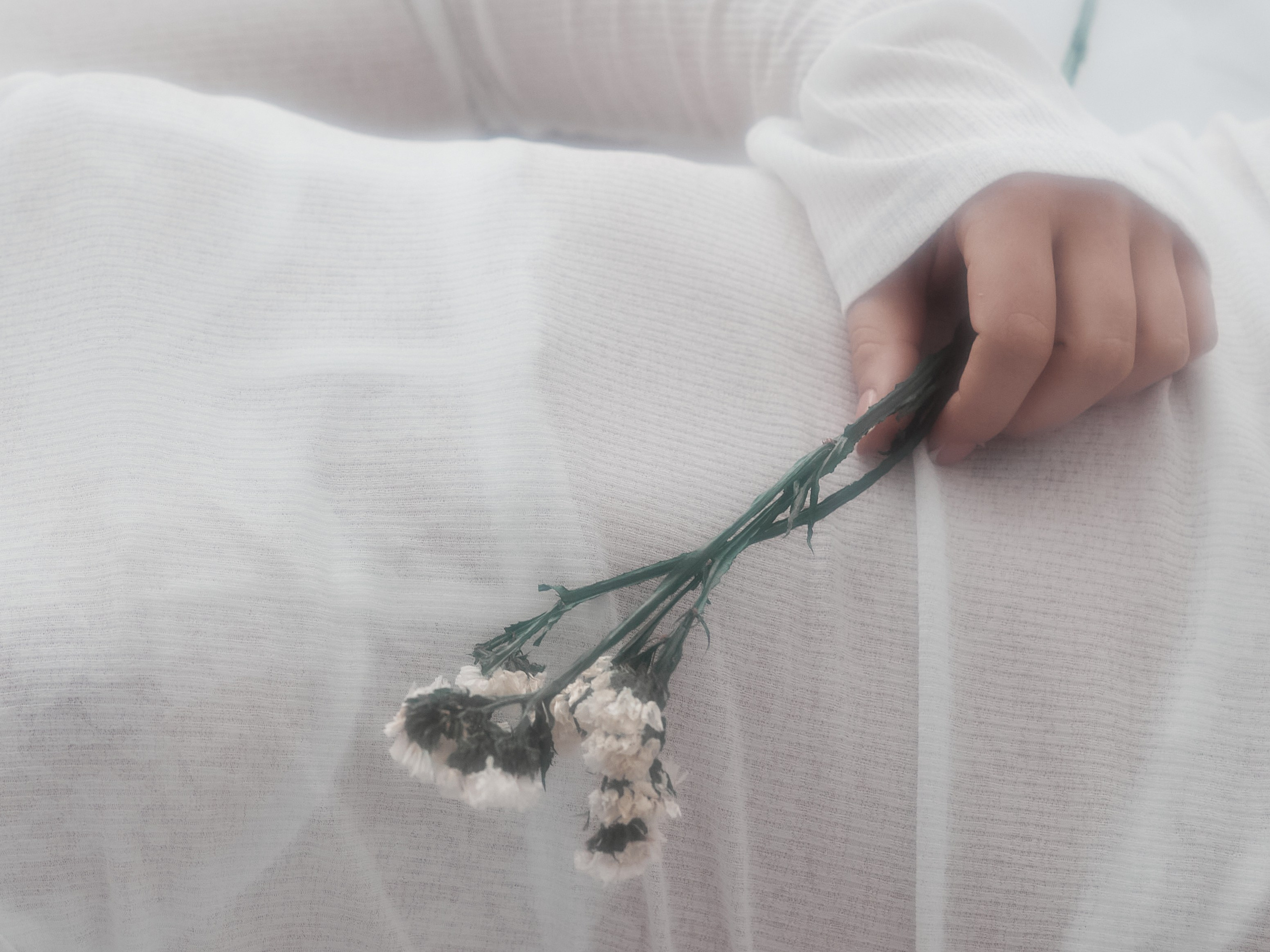 Николь и Мирослава. Fine portraits. Никита Данилов