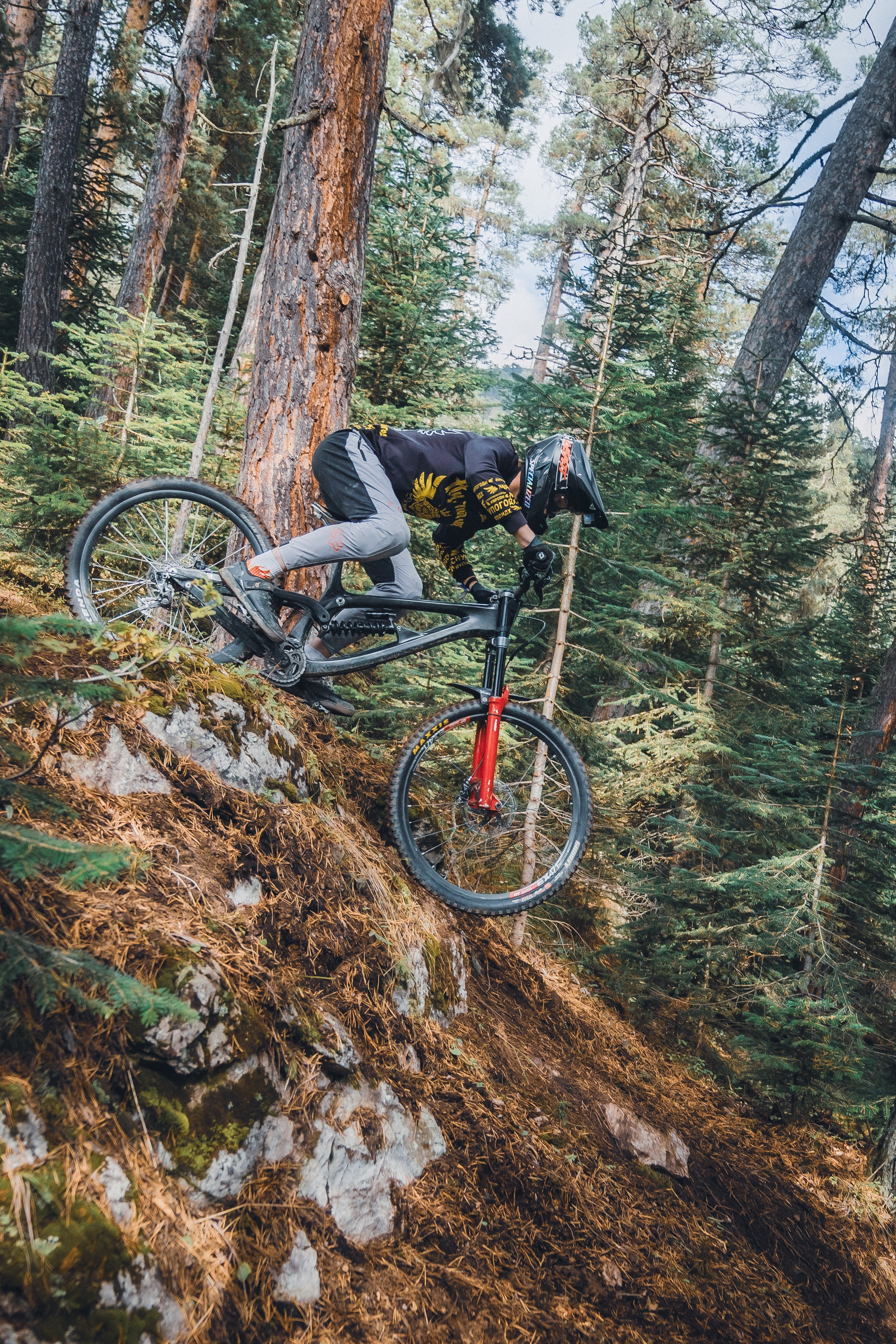 Велосипед. Репортажный фотограф в Краснодаре Рындин Дмитрий