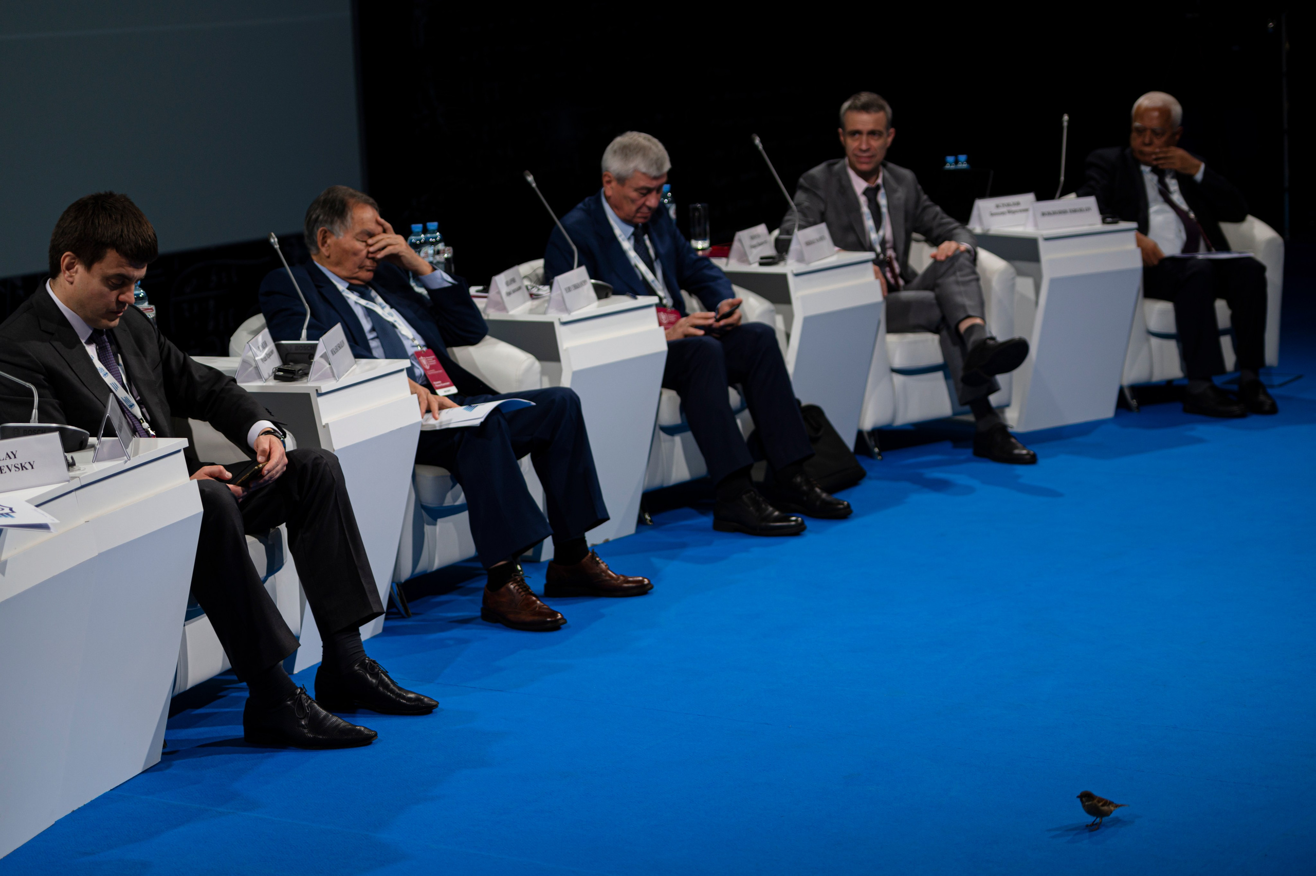 Reportage. Evgenii Filippov — Photographer