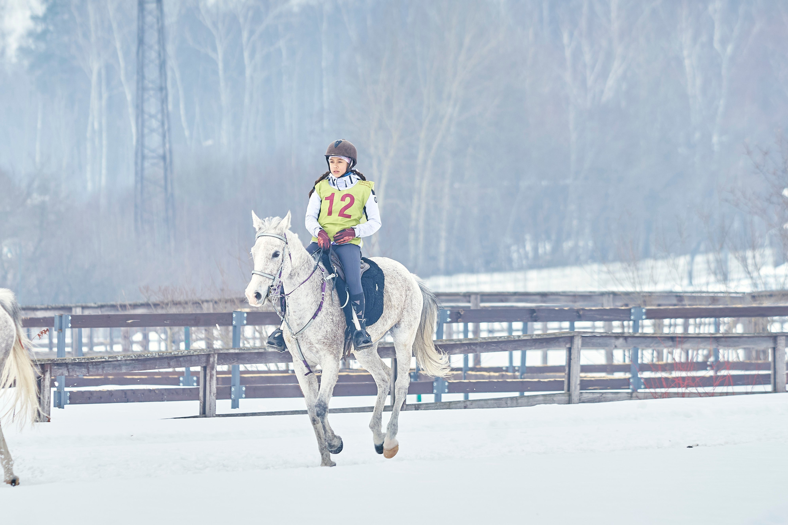 HORSE RACING. Фотограф Наталья Леонова