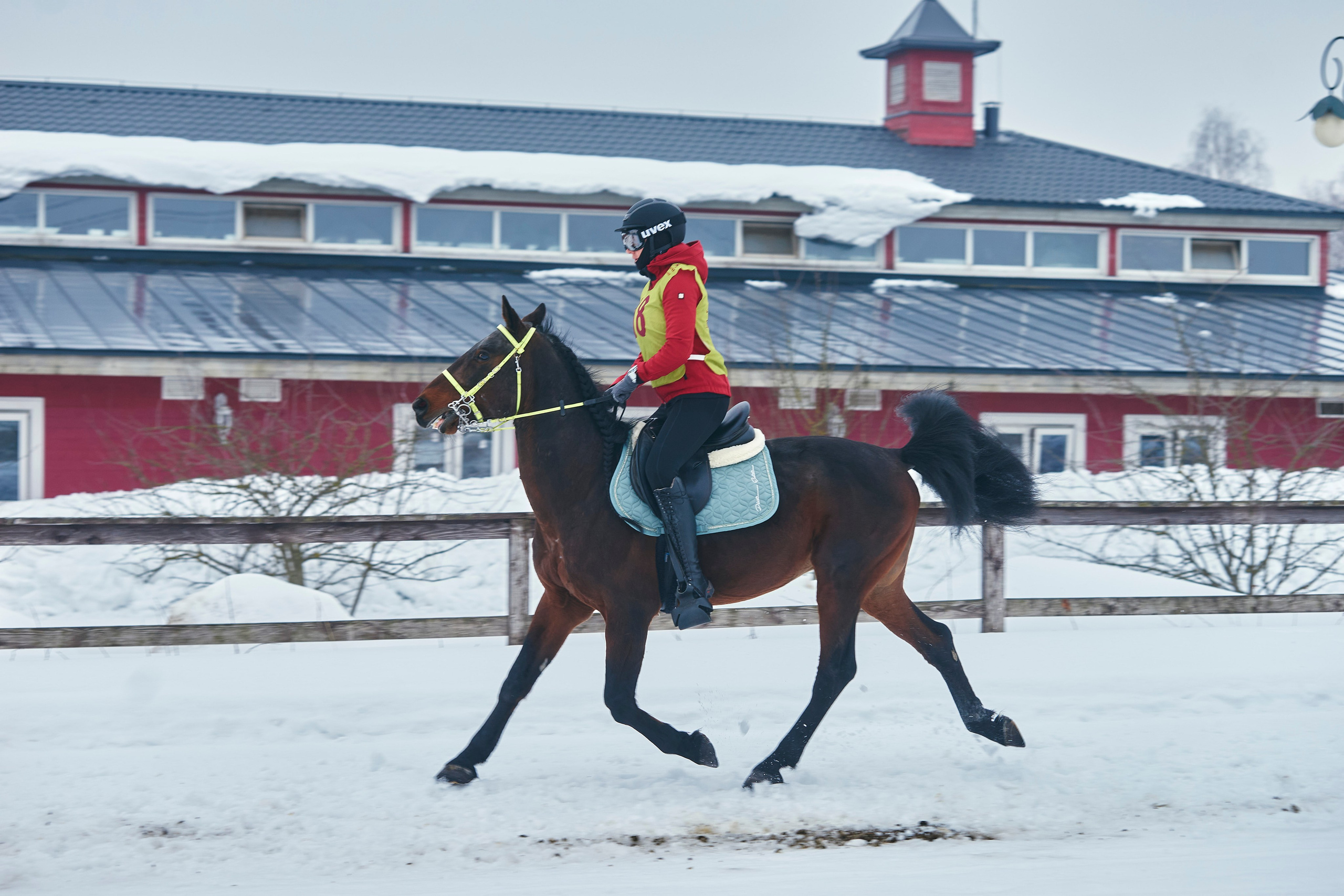 HORSE RACING. Фотограф Наталья Леонова