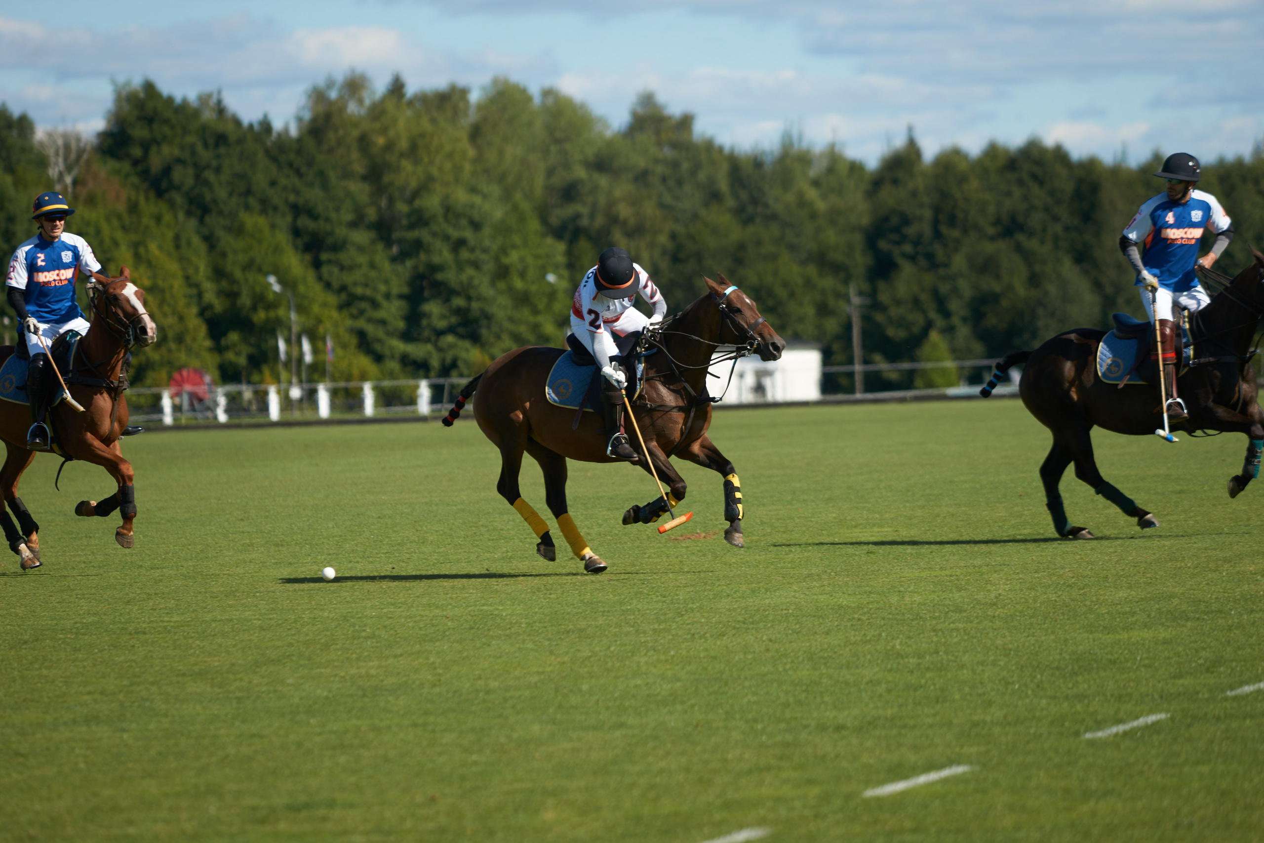 HORSE POLO. Фотограф Наталья Леонова