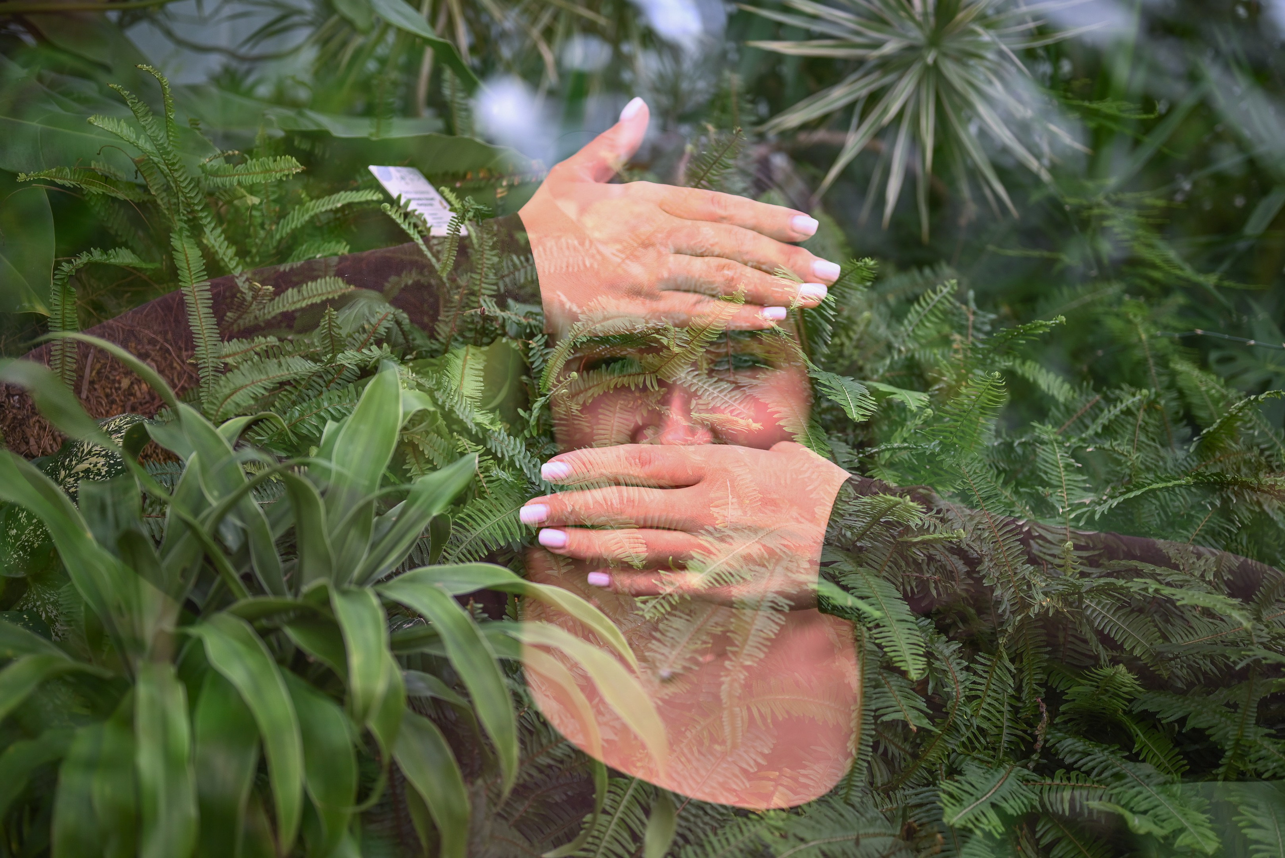 Таврический сад и прогулка. Дарья Медведева