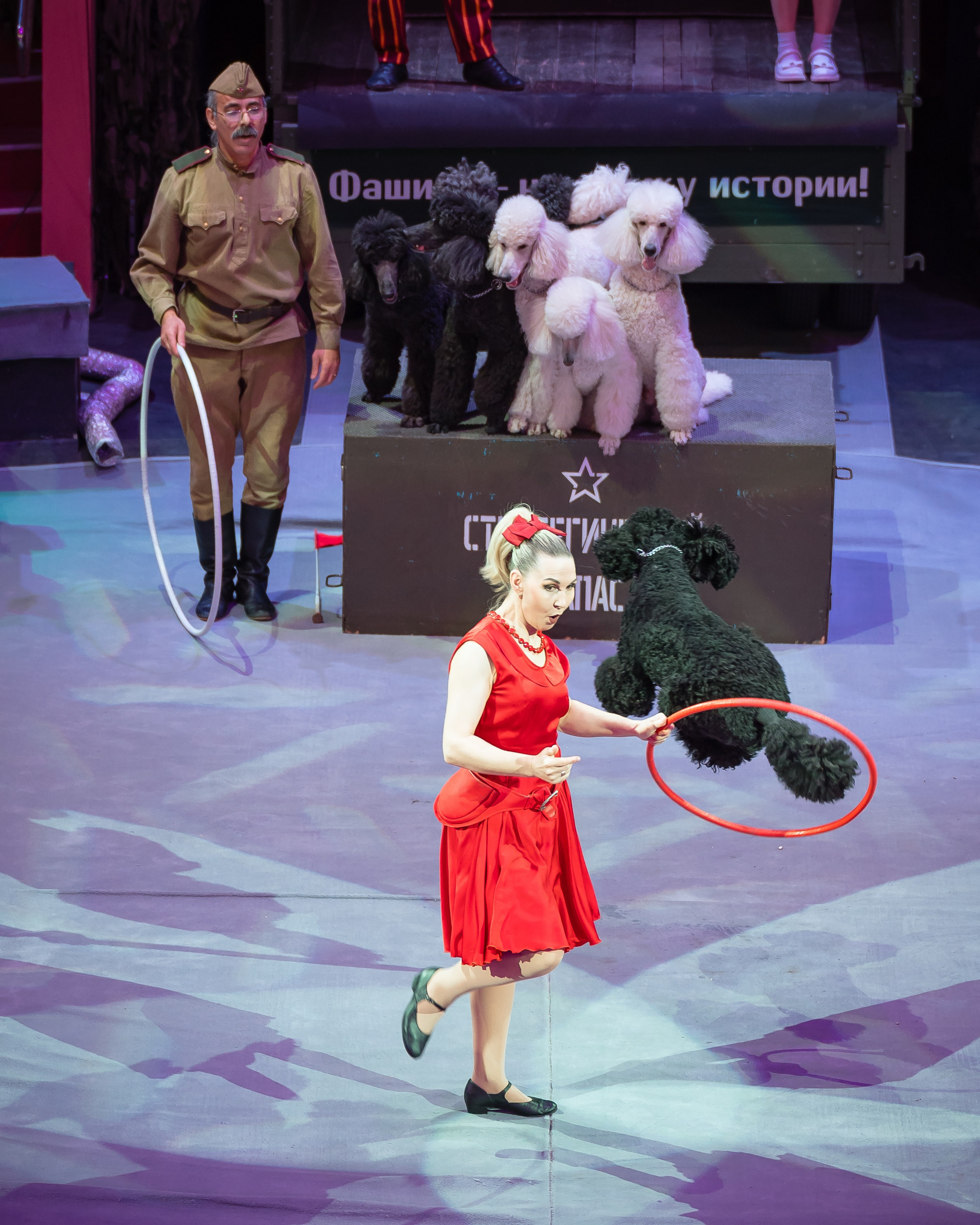 Волгоградский цирк «Парад Великой Победы». Фотограф Карина Шарова Москва