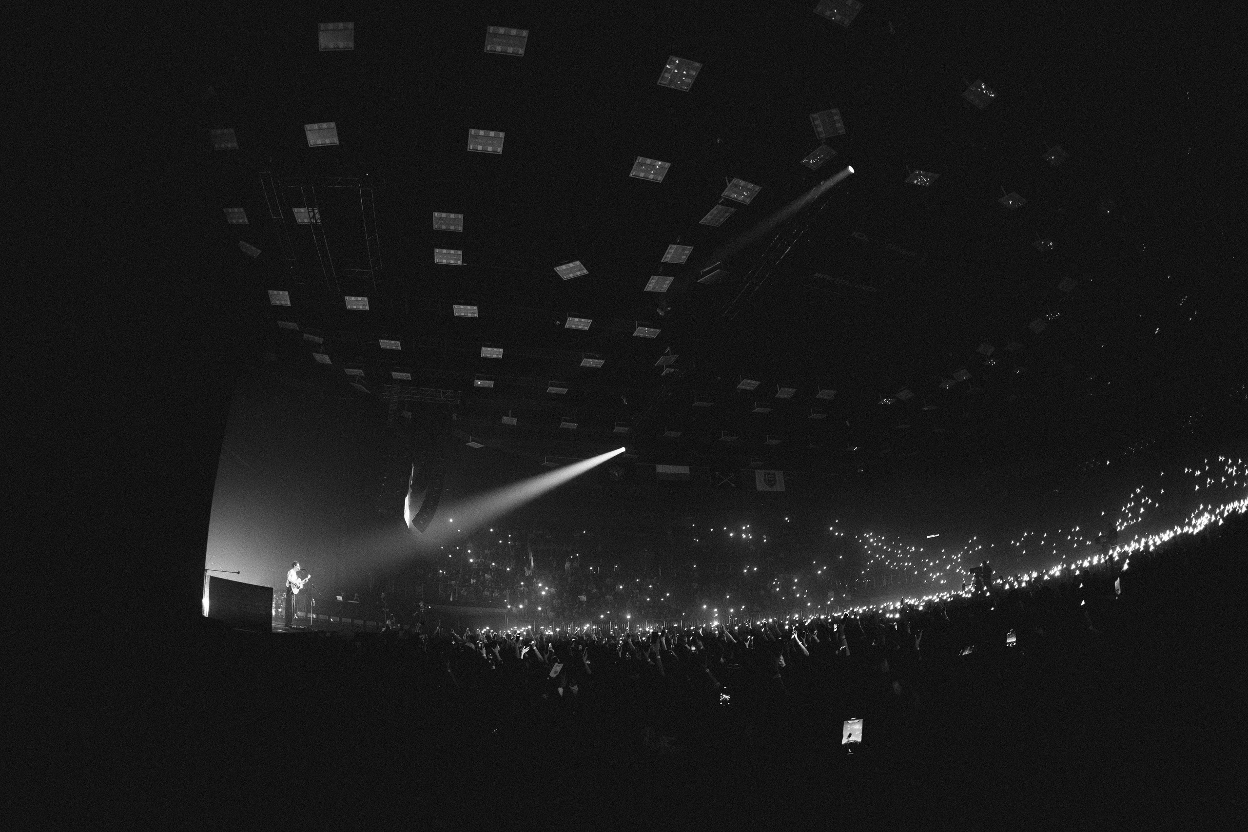 Zoloto в Юбилейном. Фотограф Виктория Дунаевская в Санкт Петербурге