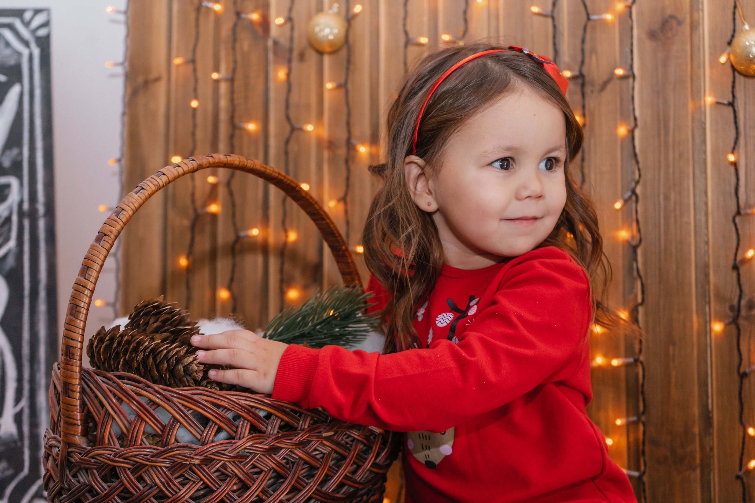 Элина Новогодний. Свадебный и семейный фотограф в Лениногорске Альбина Хасаншина