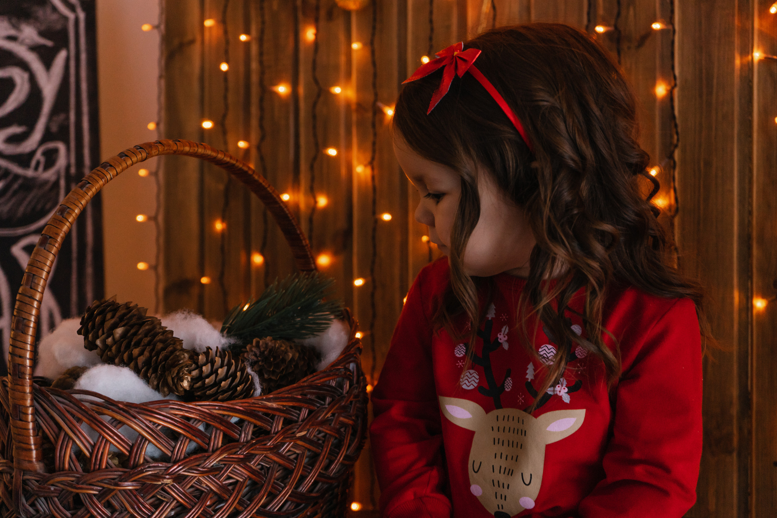 Элина Новогодний. Свадебный и семейный фотограф в Лениногорске Альбина Хасаншина