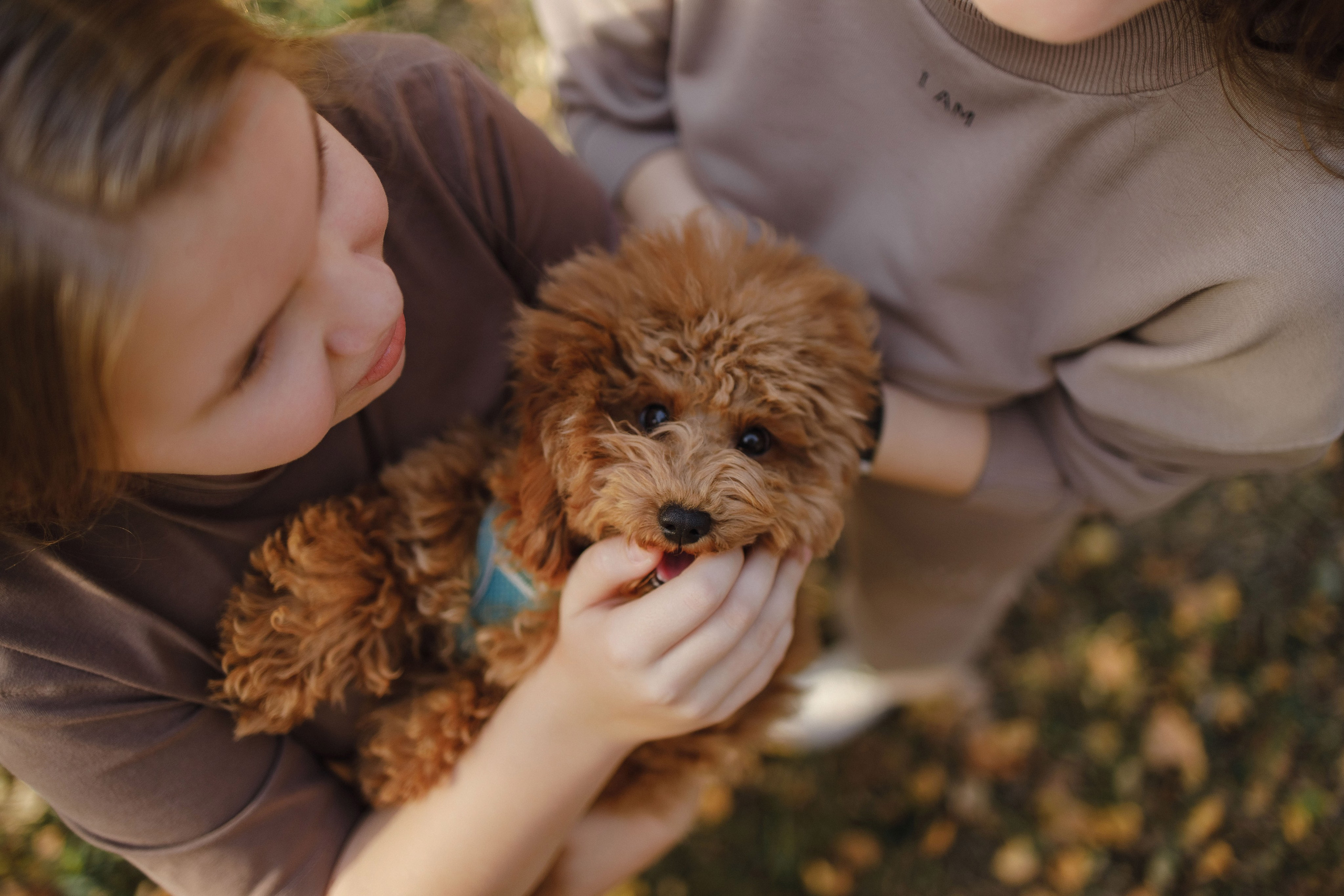 Аня, Рома, Маша. Фотограф Андрей Баксов