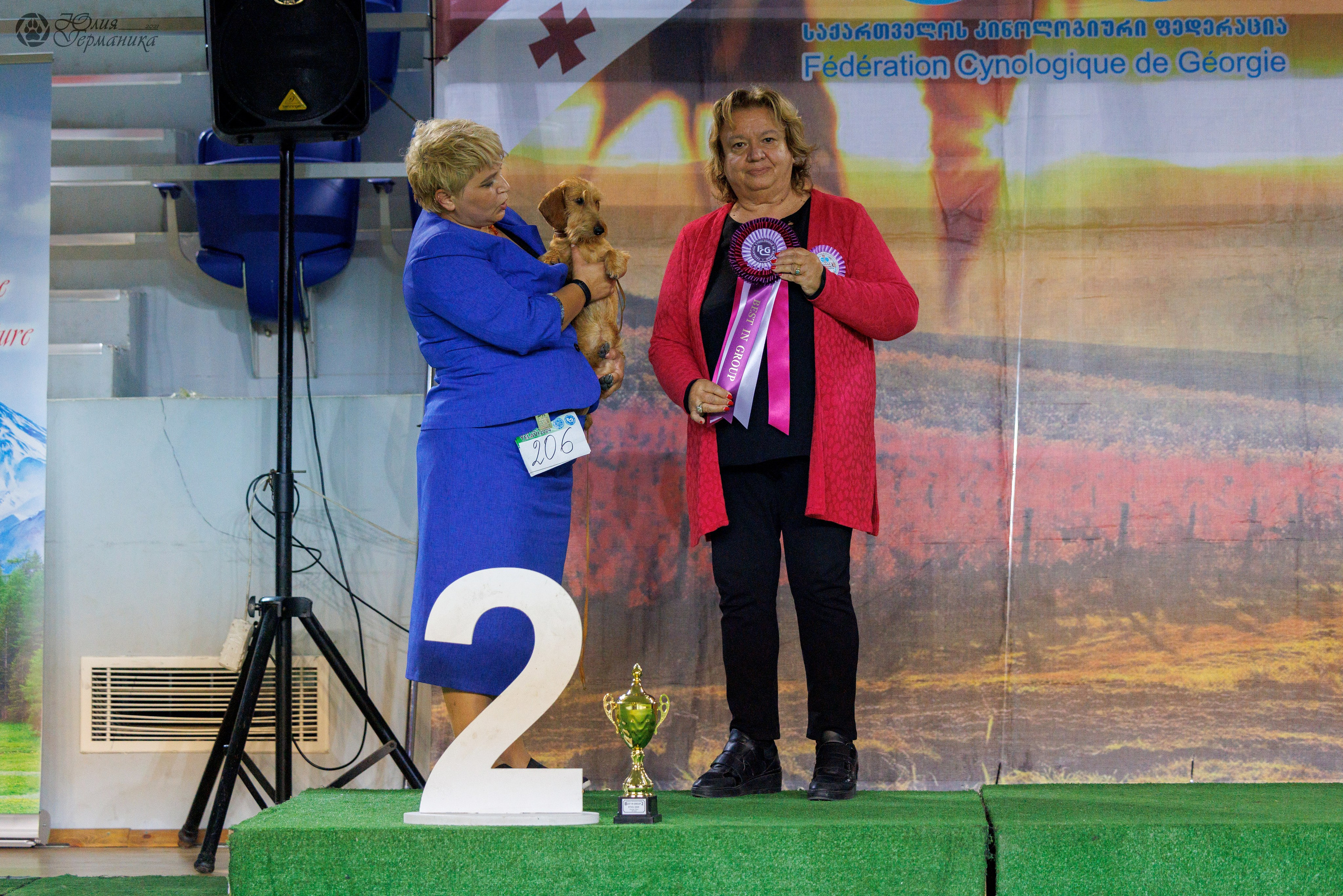 Грузия,Телави 2хCACIB 19-20.10.2024. Фотограф-анималист Юлия Германика