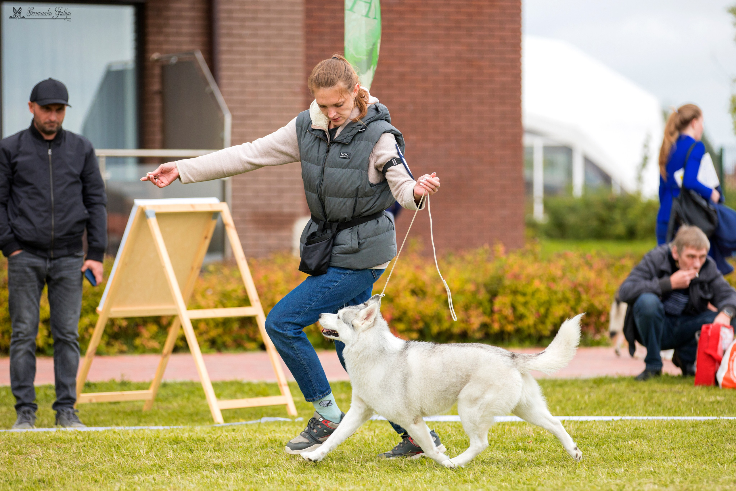 Переславль 9-10.09.2023. Фотограф-анималист Юлия Германика