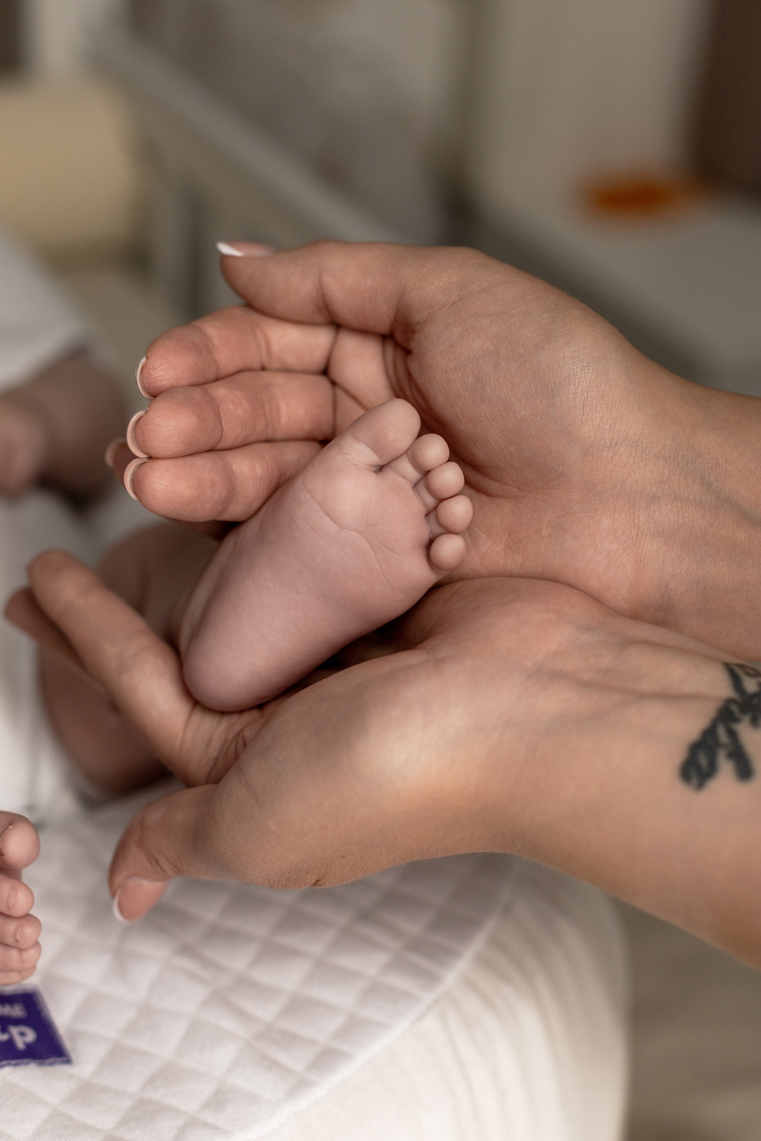 Life. NEWBORN, детский и семейный фотограф в Москве