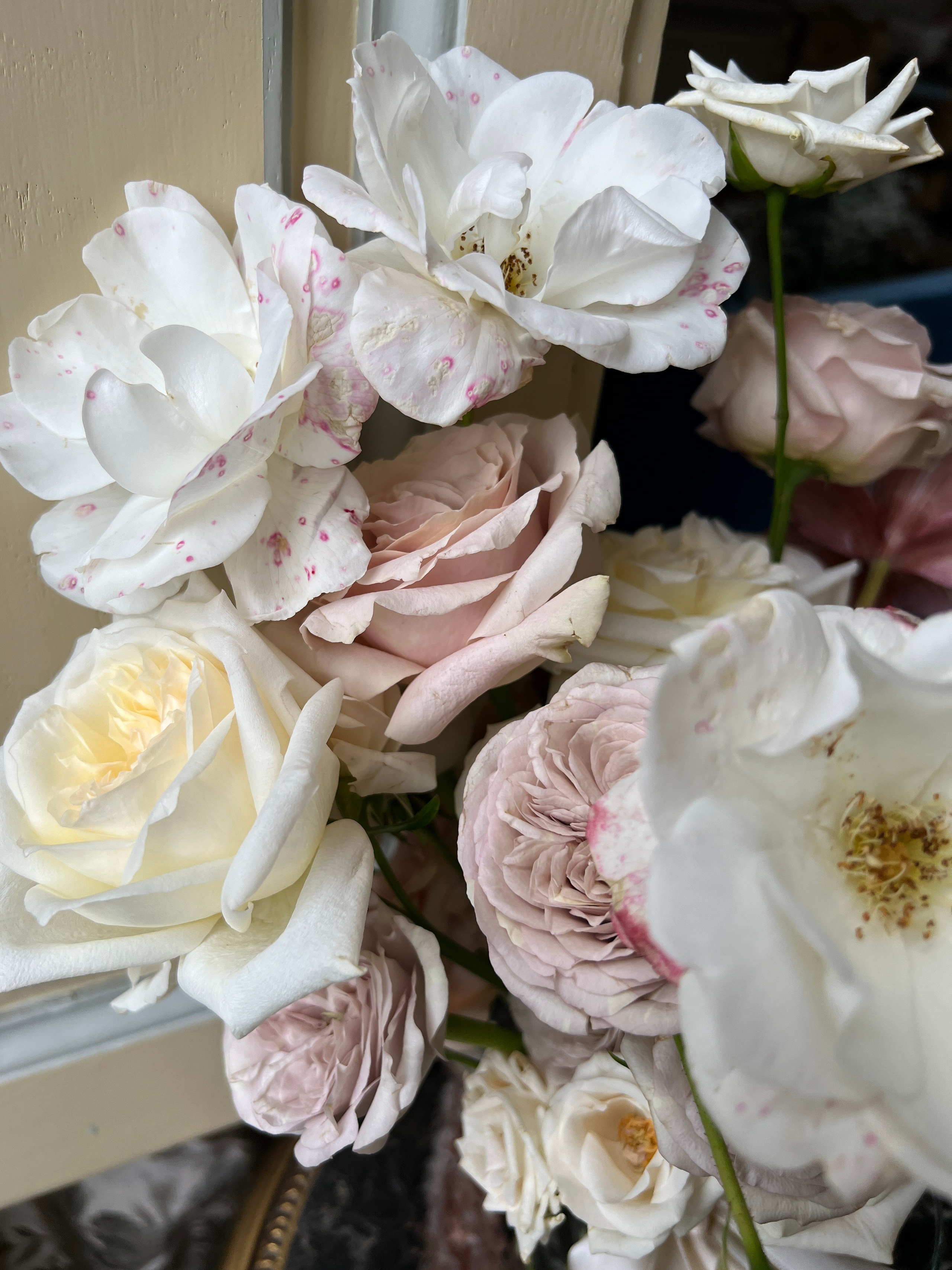 Wedding Content Creator 2026. Valeria Coconova Photographer Italy Como Milan