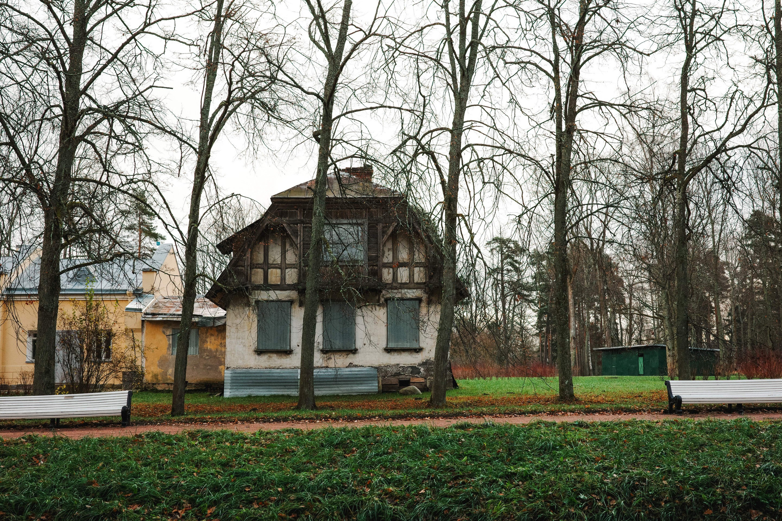 2024.11. Фотограф Алексей Алексеев